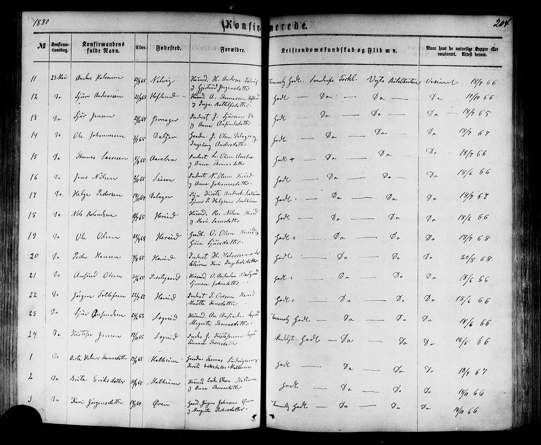 Årdal sokneprestembete, SAB/A-81701: Parish register (official) no. A 3, 1863-1886, p. 204