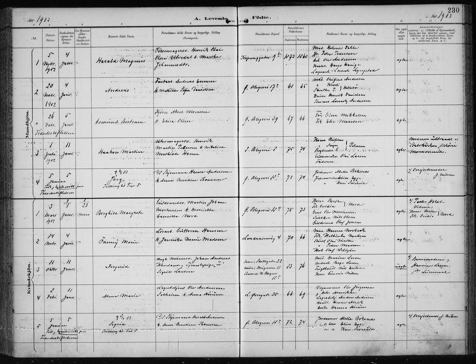 Korskirken sokneprestembete, SAB/A-76101/H/Hab: Parish register (copy) no. B 10, 1896-1905, p. 230