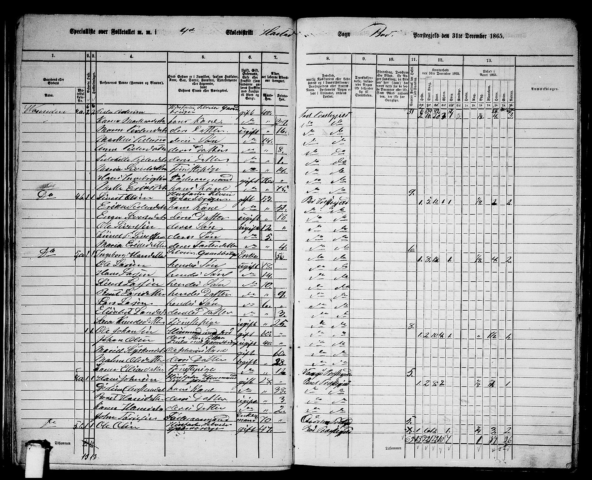 RA, 1865 census for Bud, 1865, p. 14