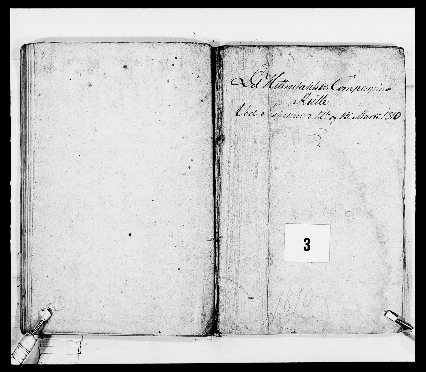 Generalitets- og kommissariatskollegiet, Det kongelige norske kommissariatskollegium, RA/EA-5420/E/Eh/L0116: Telemarkske nasjonale infanteriregiment, 1810, p. 106