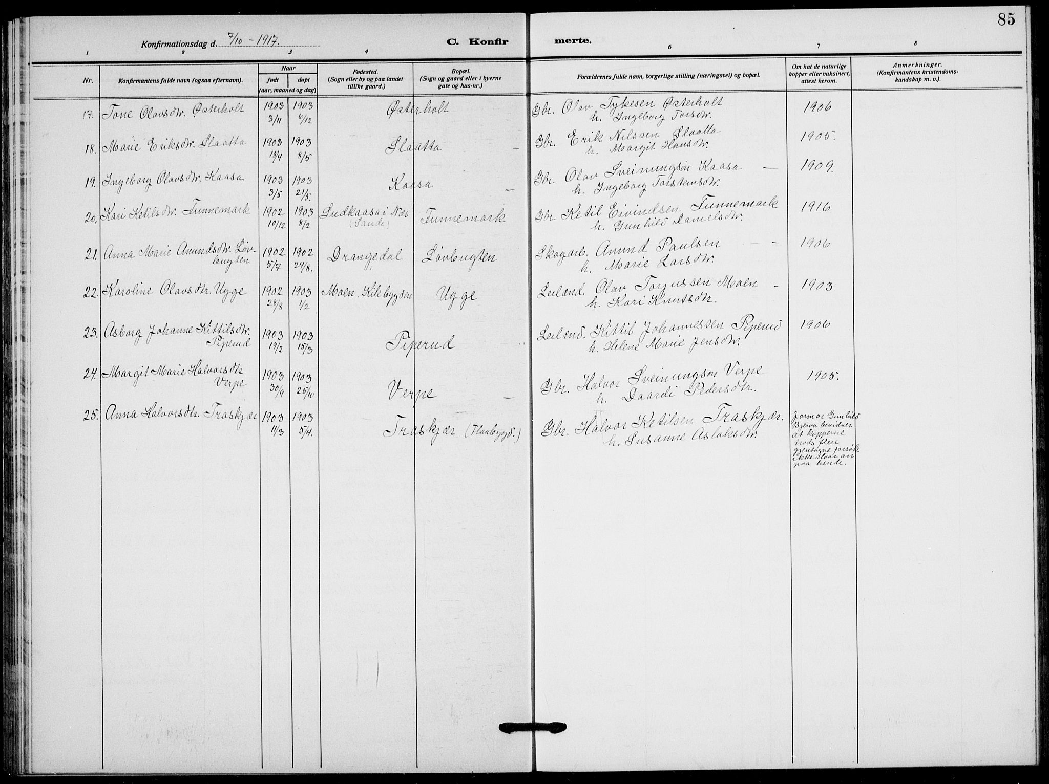 Lunde kirkebøker, SAKO/A-282/F/Fa/L0005: Parish register (official) no. I 5, 1914-1922, p. 85