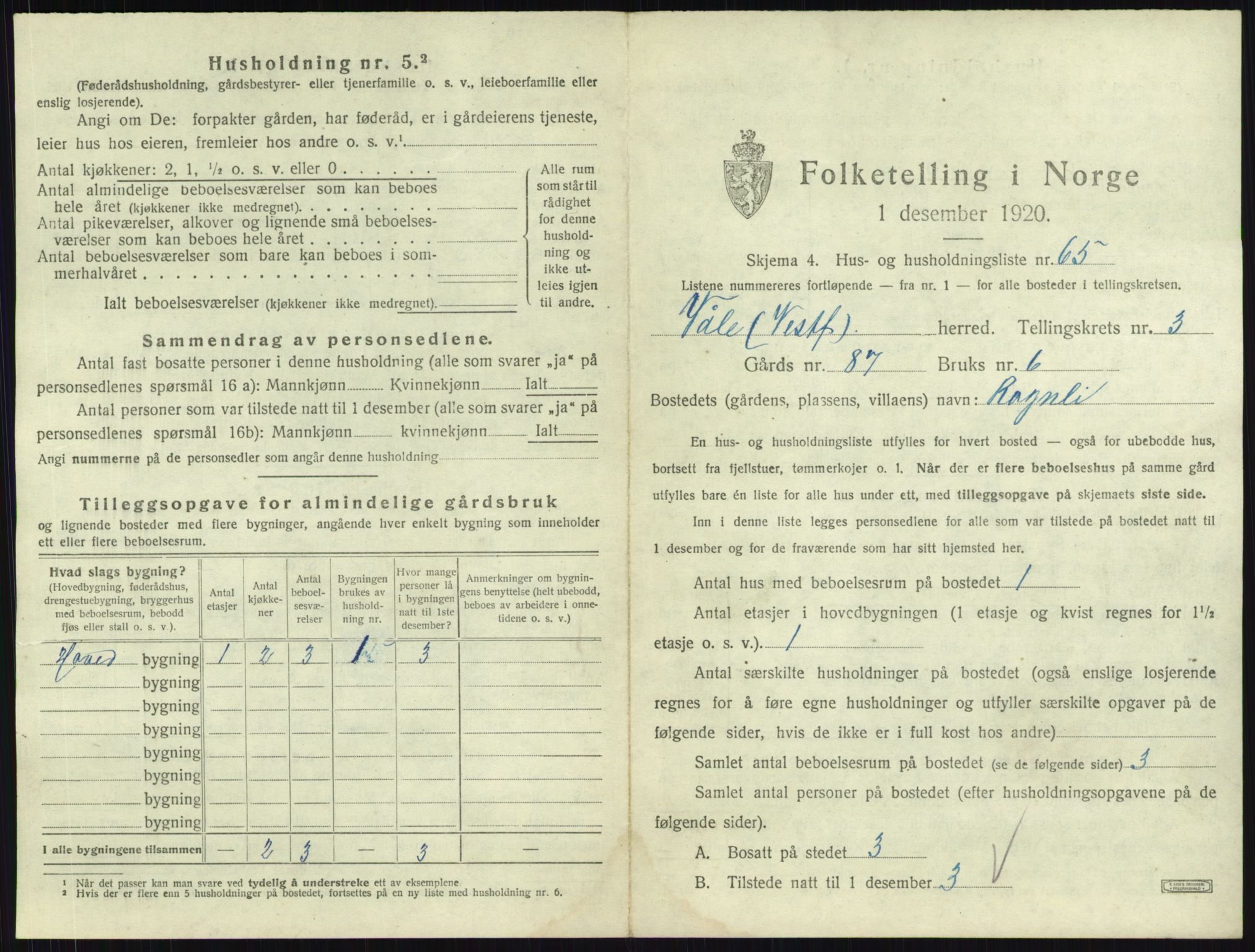 SAKO, 1920 census for Våle, 1920, p. 393