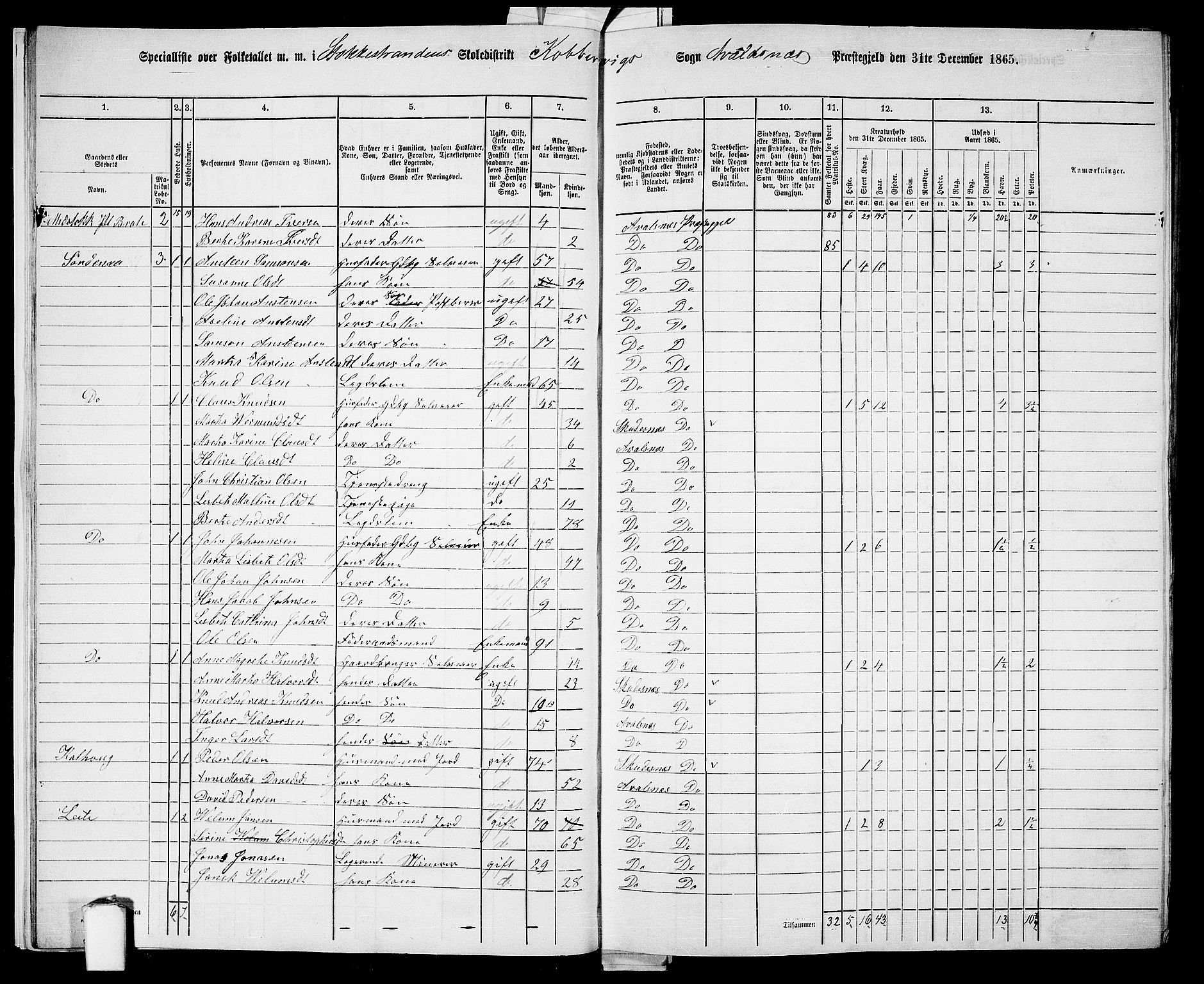 RA, 1865 census for Avaldsnes, 1865, p. 17