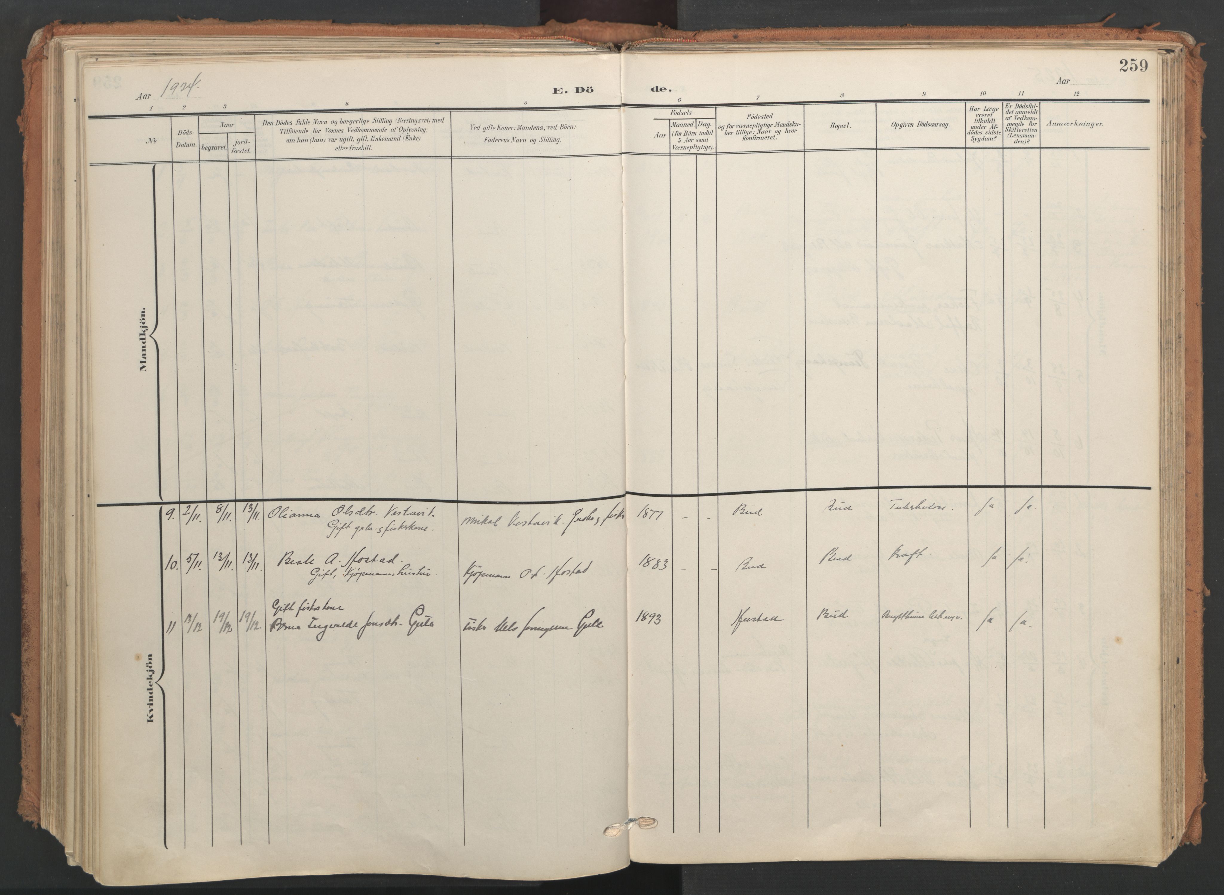 Ministerialprotokoller, klokkerbøker og fødselsregistre - Møre og Romsdal, AV/SAT-A-1454/566/L0771: Parish register (official) no. 566A10, 1904-1929, p. 259