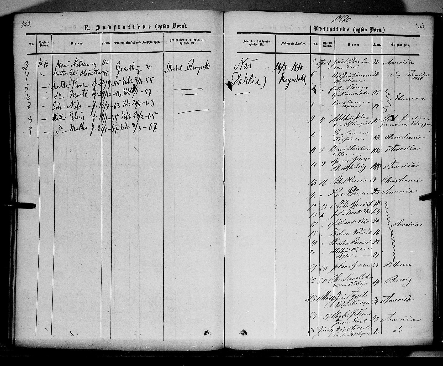 Nes prestekontor, Hedmark, AV/SAH-PREST-020/K/Ka/L0004: Parish register (official) no. 4, 1852-1886, p. 463