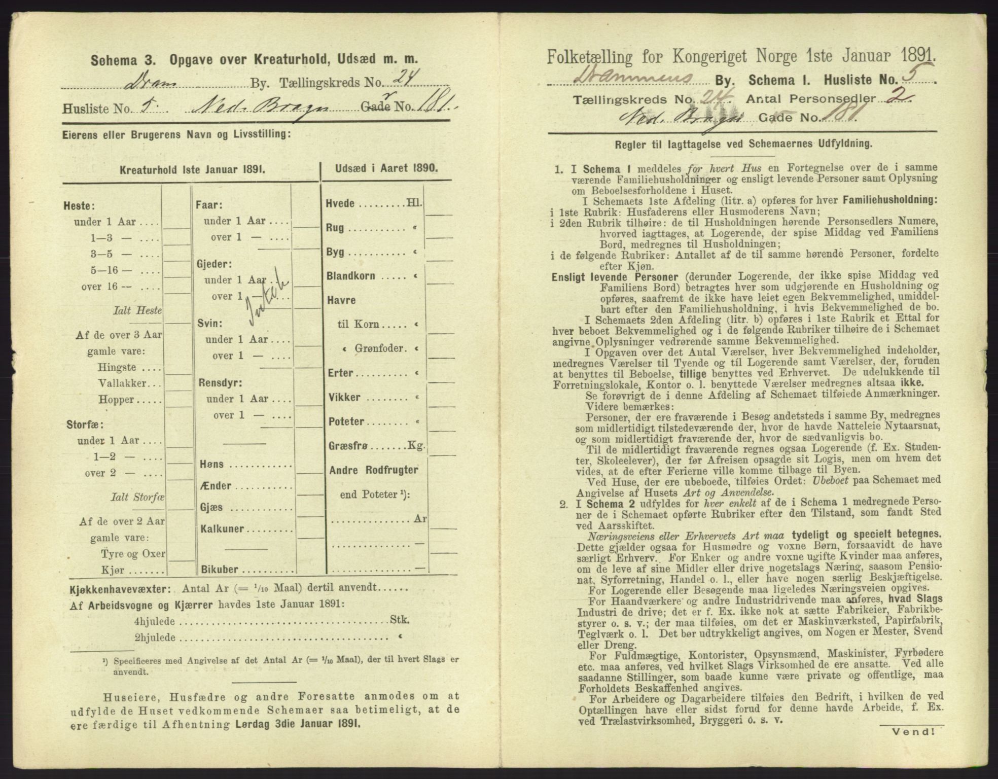 RA, 1891 census for 0602 Drammen, 1891, p. 2003