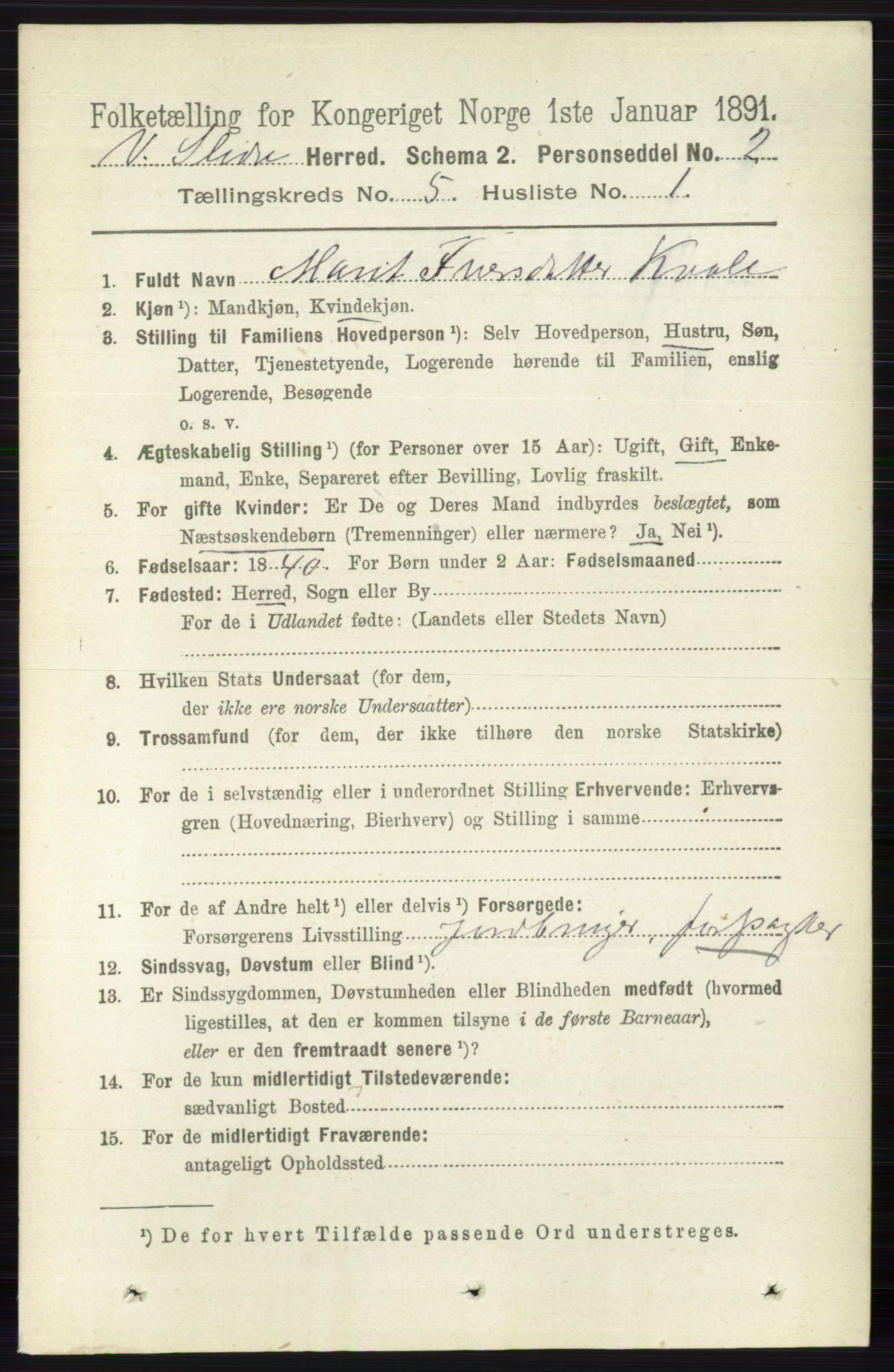 RA, 1891 census for 0543 Vestre Slidre, 1891, p. 1738