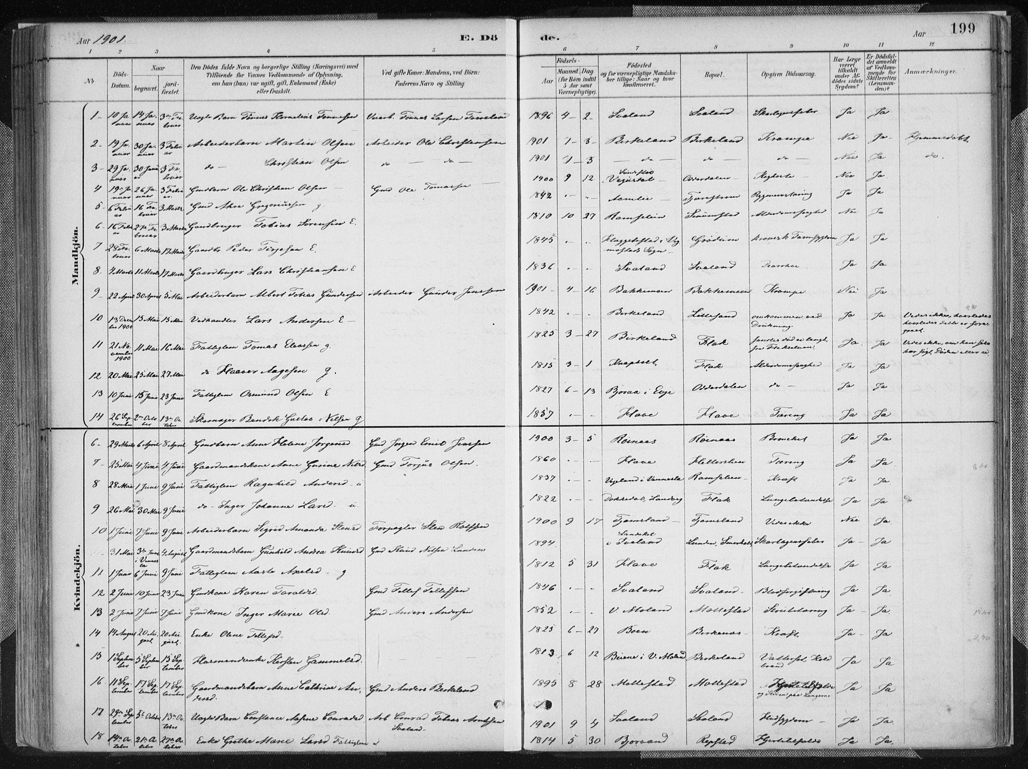 Birkenes sokneprestkontor, SAK/1111-0004/F/Fa/L0005: Parish register (official) no. A 5, 1887-1907, p. 199