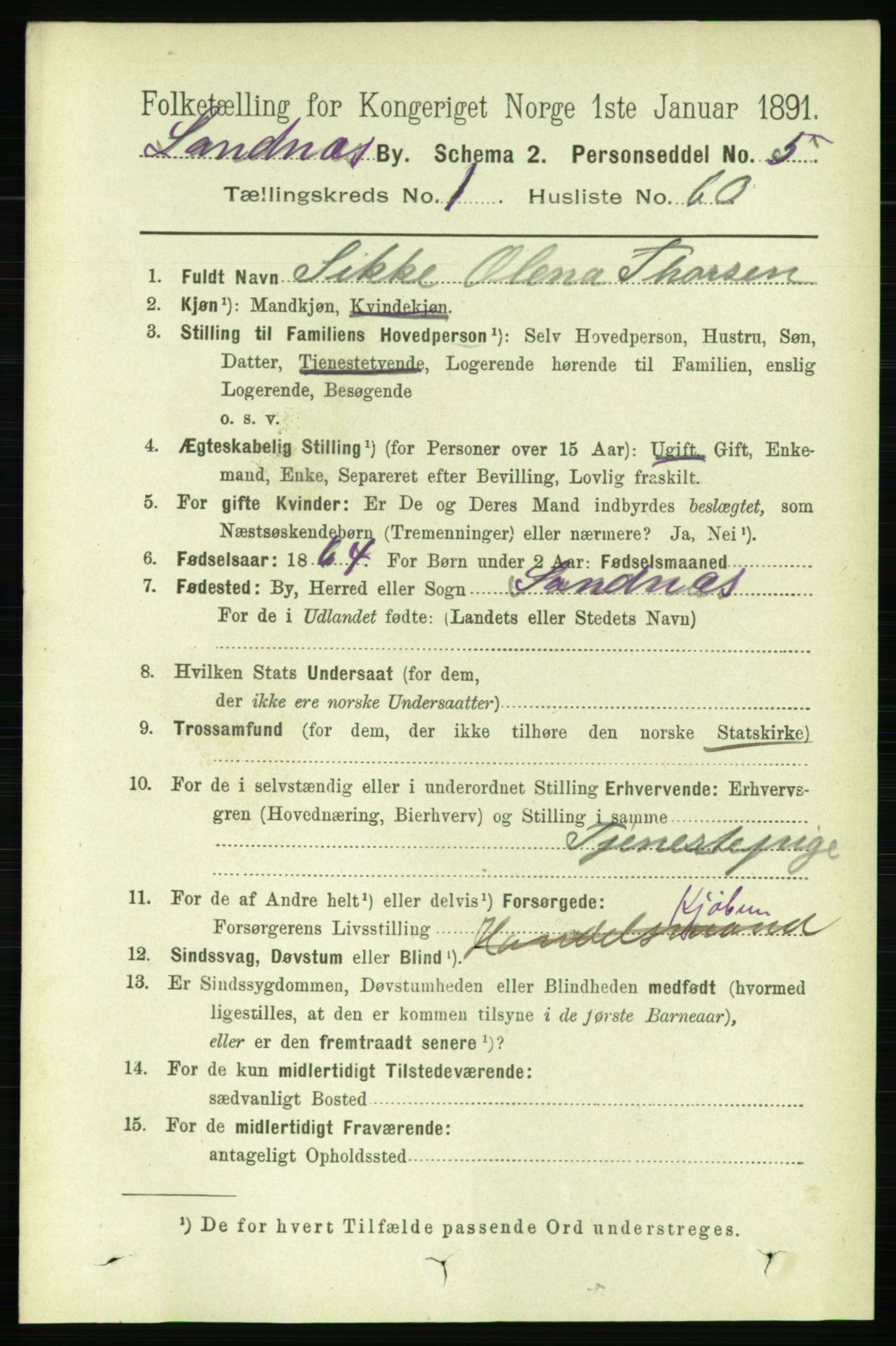 RA, 1891 census for 1102 Sandnes, 1891, p. 920