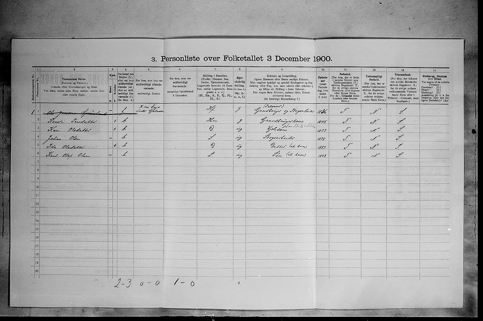 SAH, 1900 census for Trysil, 1900, p. 339