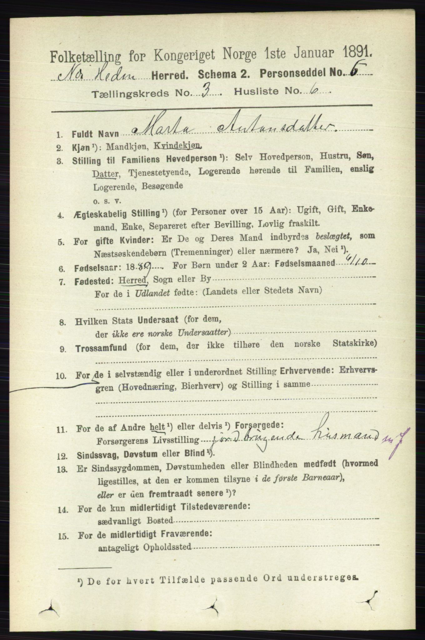 RA, 1891 census for 0411 Nes, 1891, p. 1627