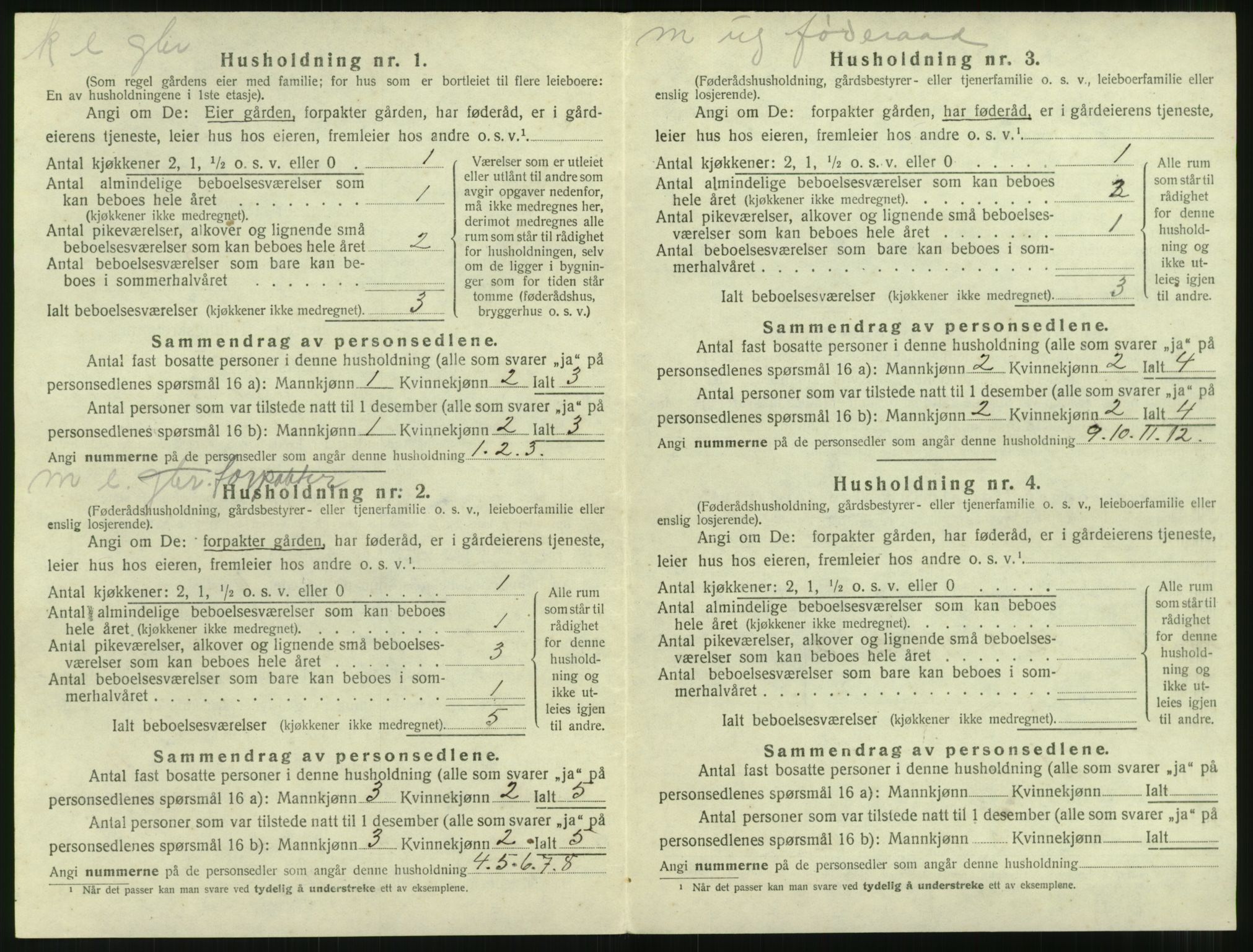 SAT, 1920 census for Nesset, 1920, p. 155