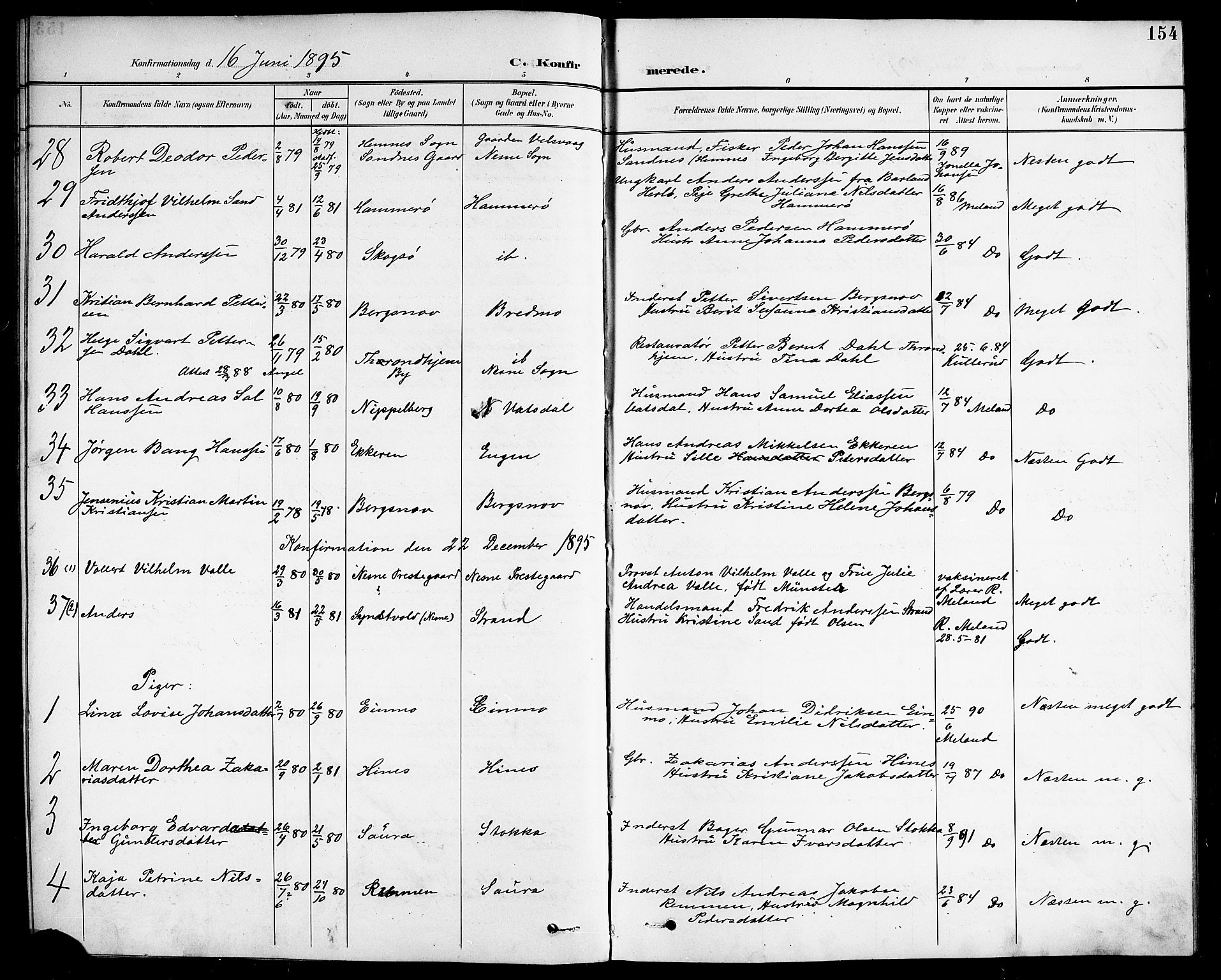 Ministerialprotokoller, klokkerbøker og fødselsregistre - Nordland, AV/SAT-A-1459/838/L0559: Parish register (copy) no. 838C06, 1893-1910, p. 154