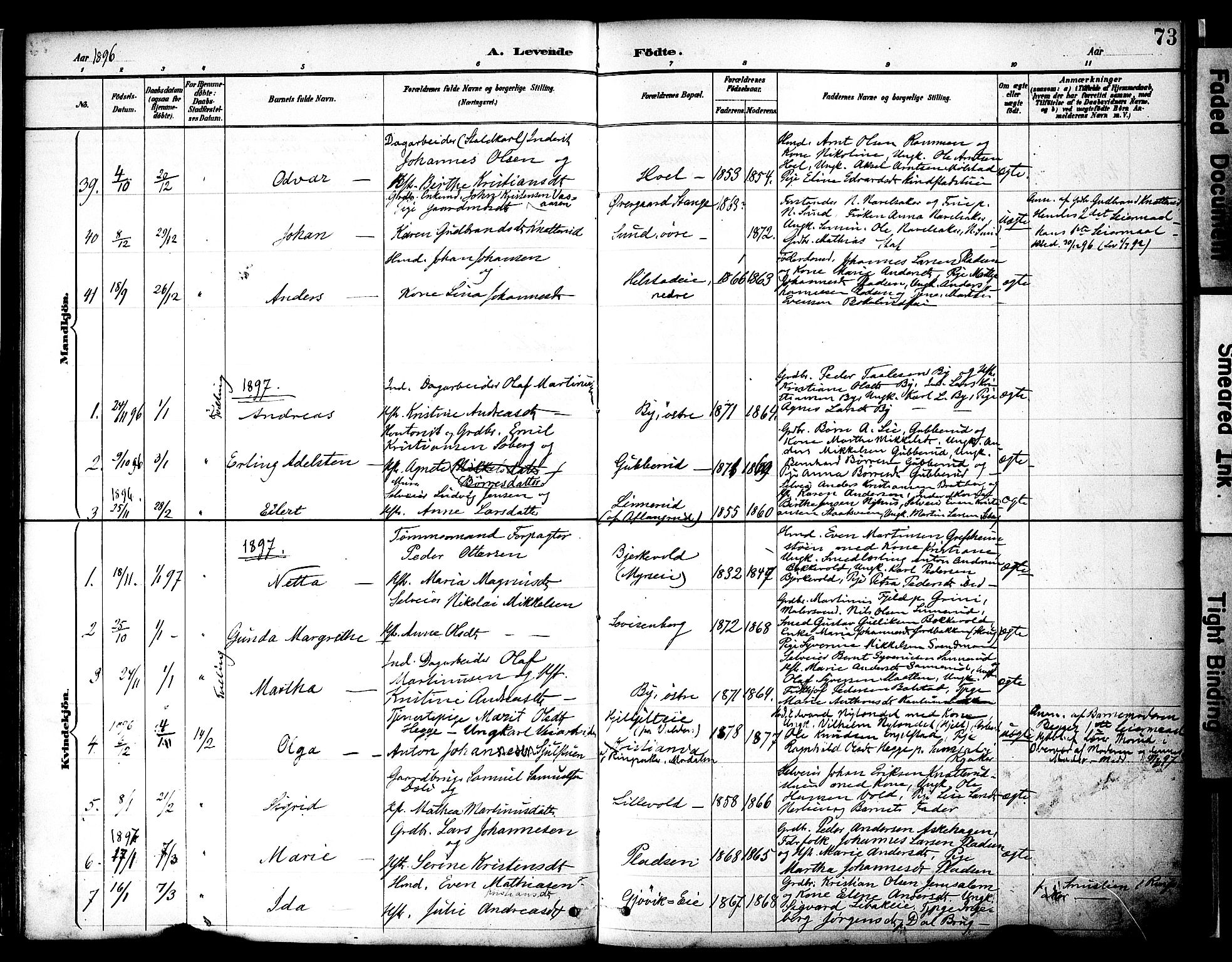 Nes prestekontor, Hedmark, AV/SAH-PREST-020/K/Ka/L0009: Parish register (official) no. 9, 1887-1905, p. 73