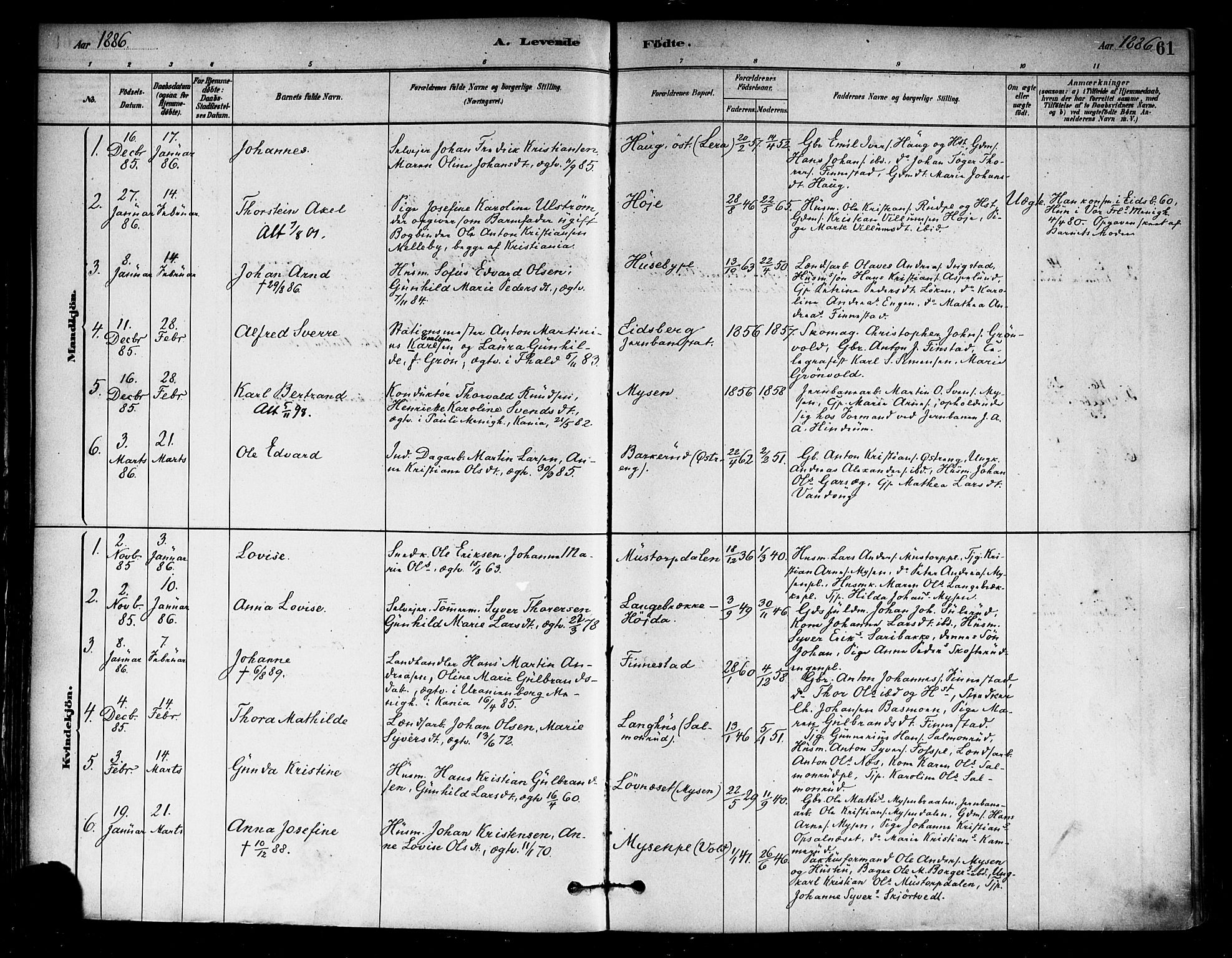 Eidsberg prestekontor Kirkebøker, AV/SAO-A-10905/F/Fa/L0012: Parish register (official) no. I 12, 1879-1901, p. 61