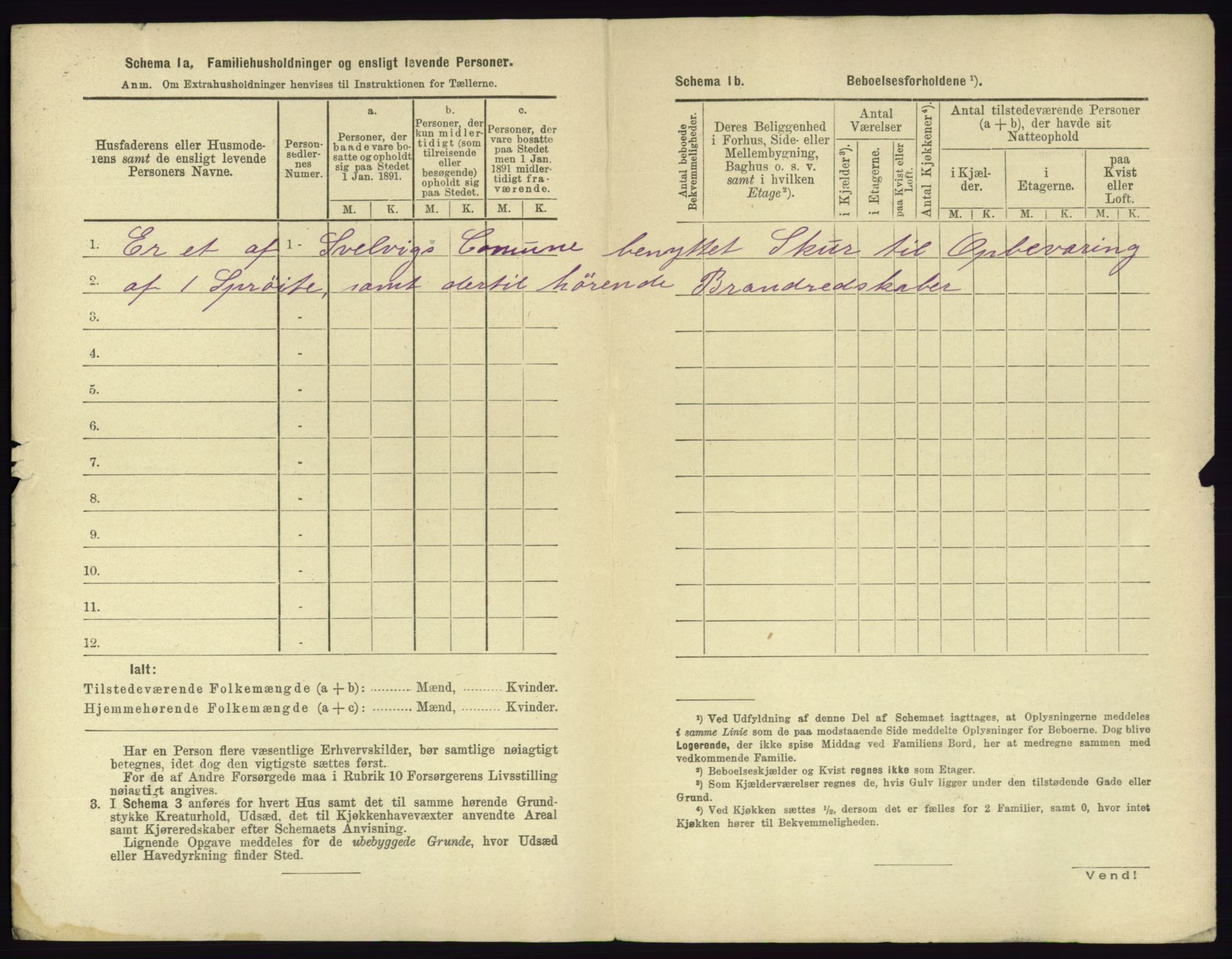 RA, 1891 census for 0701 Svelvik, 1891, p. 539