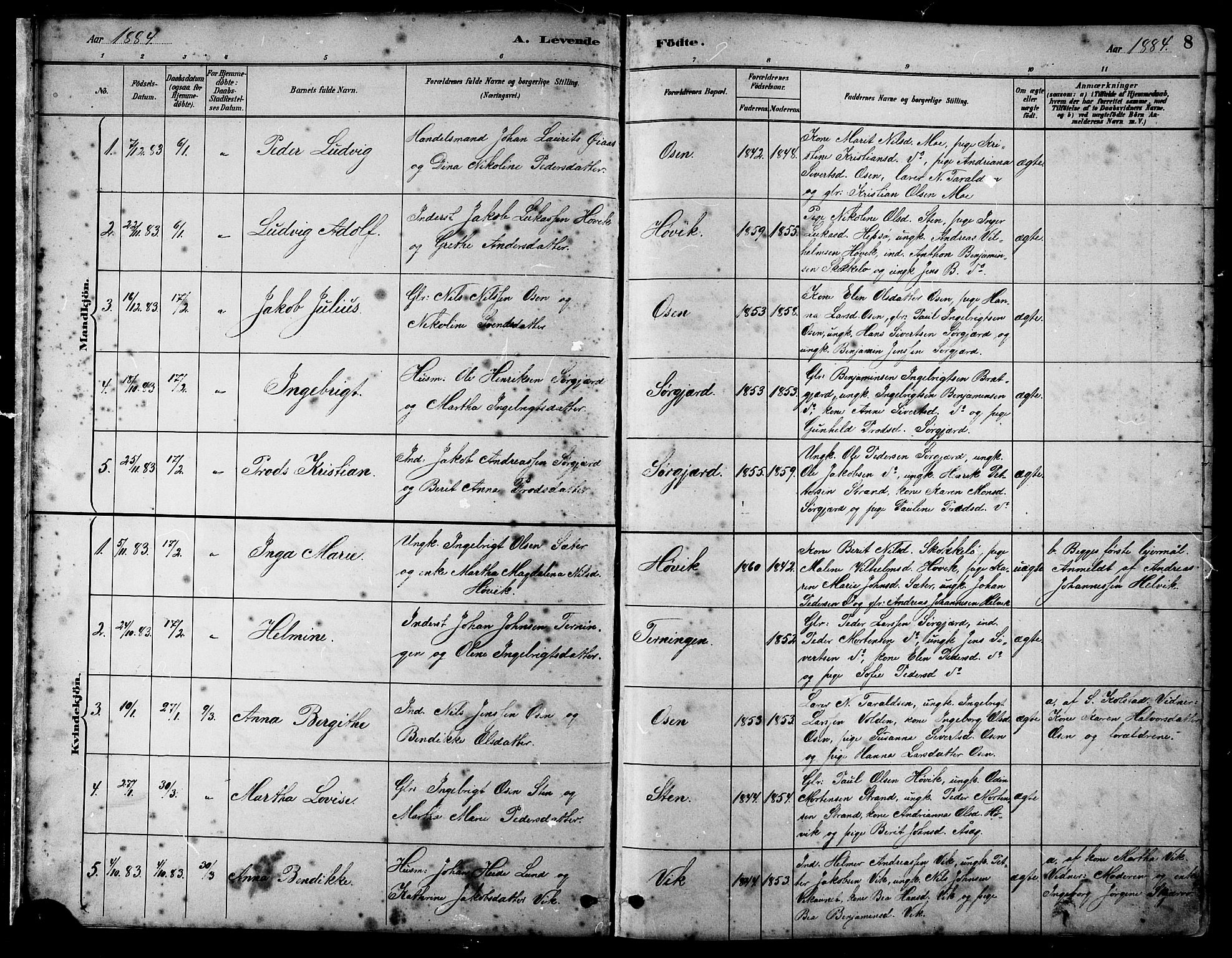 Ministerialprotokoller, klokkerbøker og fødselsregistre - Sør-Trøndelag, SAT/A-1456/658/L0726: Parish register (copy) no. 658C02, 1883-1908, p. 8