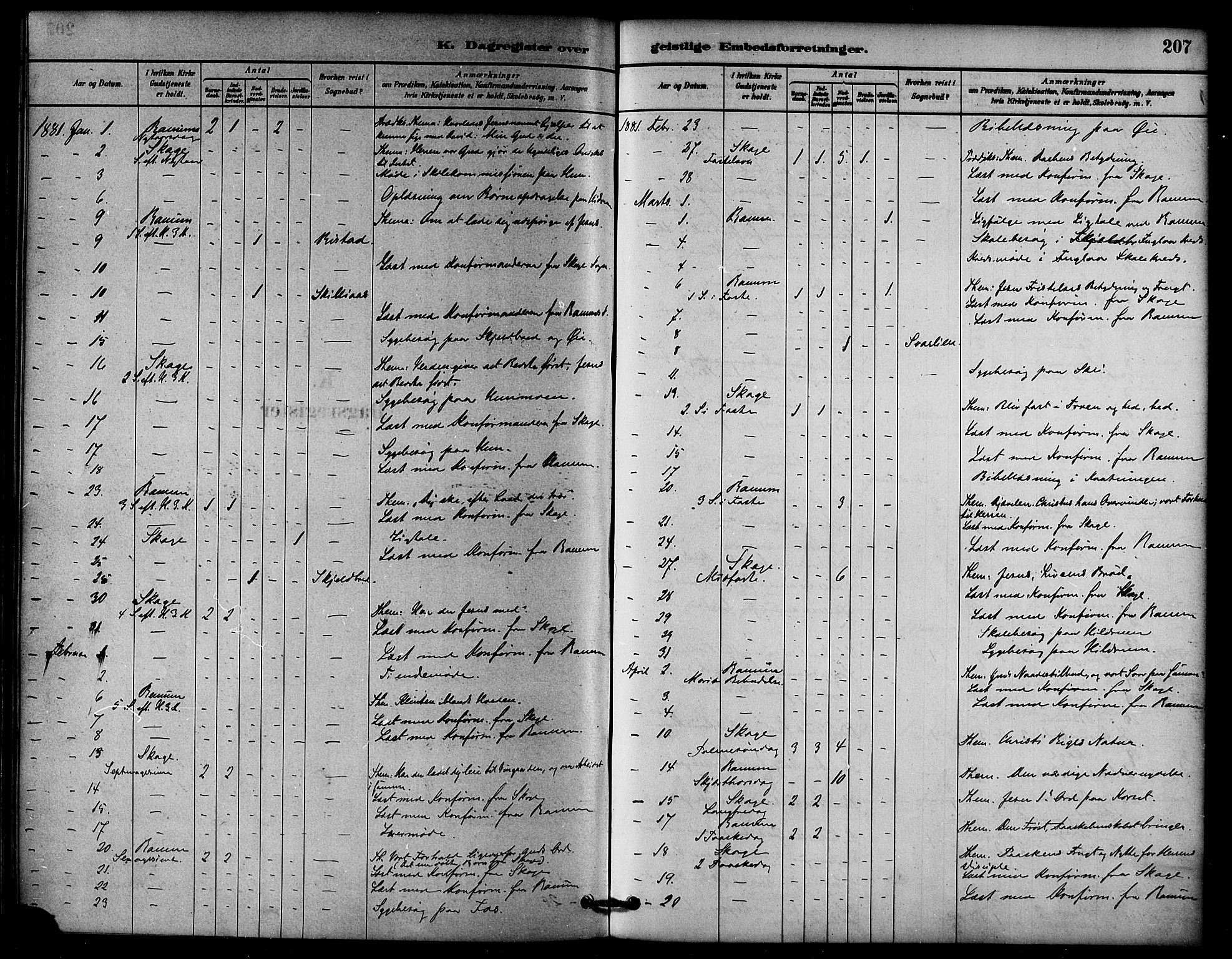 Ministerialprotokoller, klokkerbøker og fødselsregistre - Nord-Trøndelag, SAT/A-1458/764/L0555: Parish register (official) no. 764A10, 1881-1896, p. 207