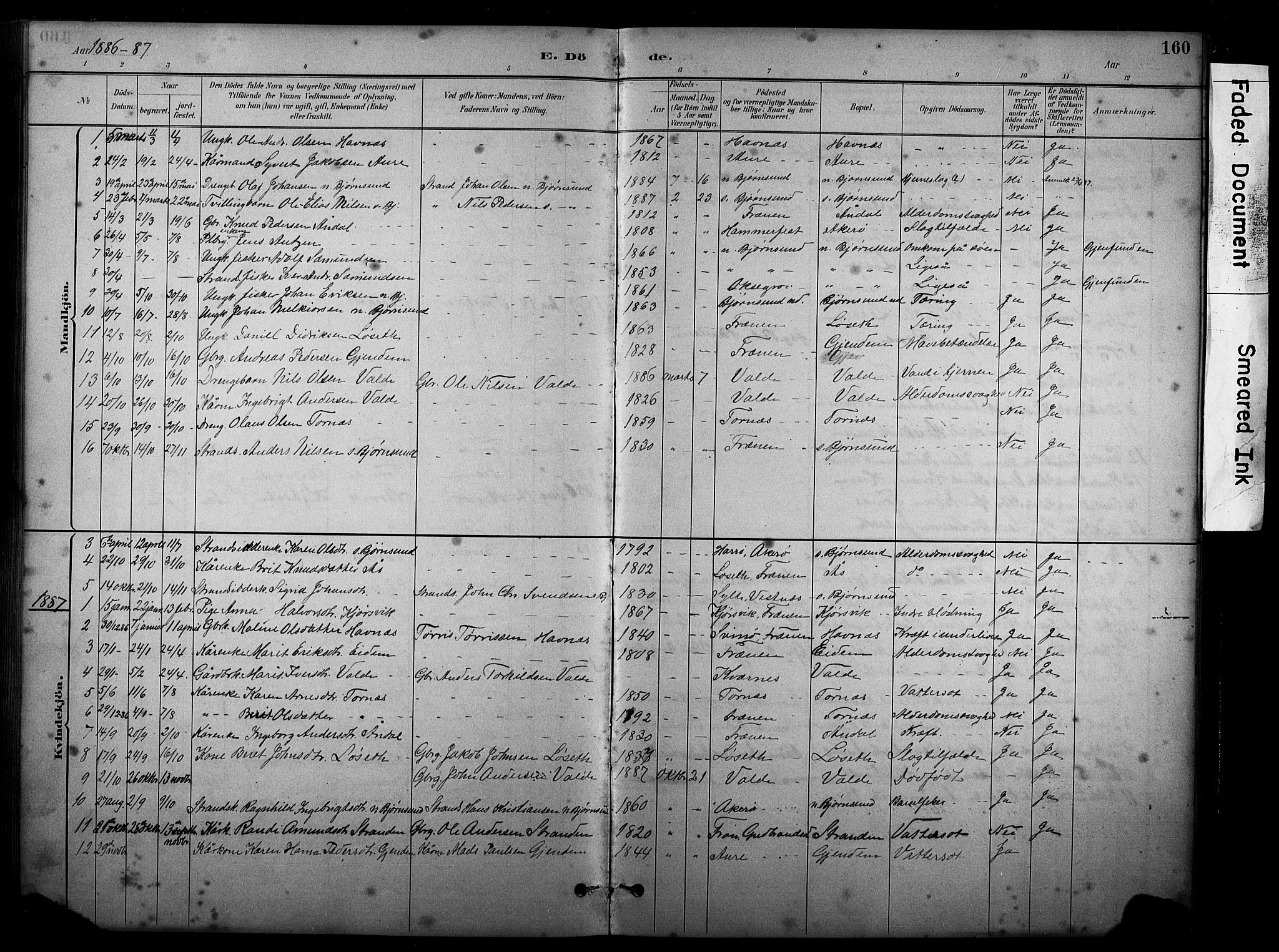 Ministerialprotokoller, klokkerbøker og fødselsregistre - Møre og Romsdal, SAT/A-1454/565/L0755: Parish register (copy) no. 565C04, 1883-1903, p. 160