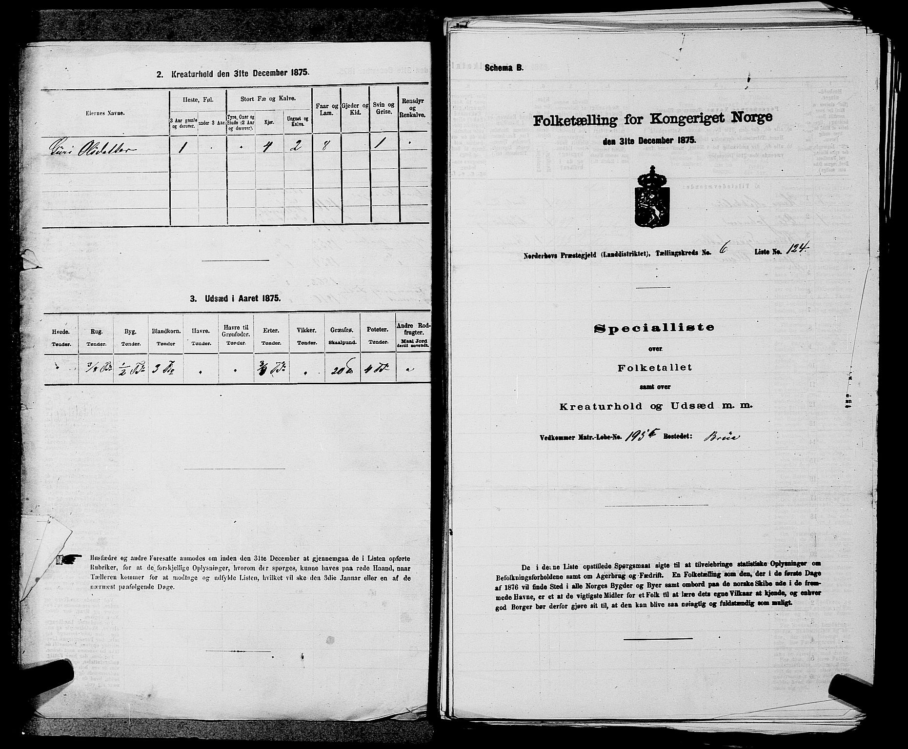 SAKO, 1875 census for 0613L Norderhov/Norderhov, Haug og Lunder, 1875, p. 969