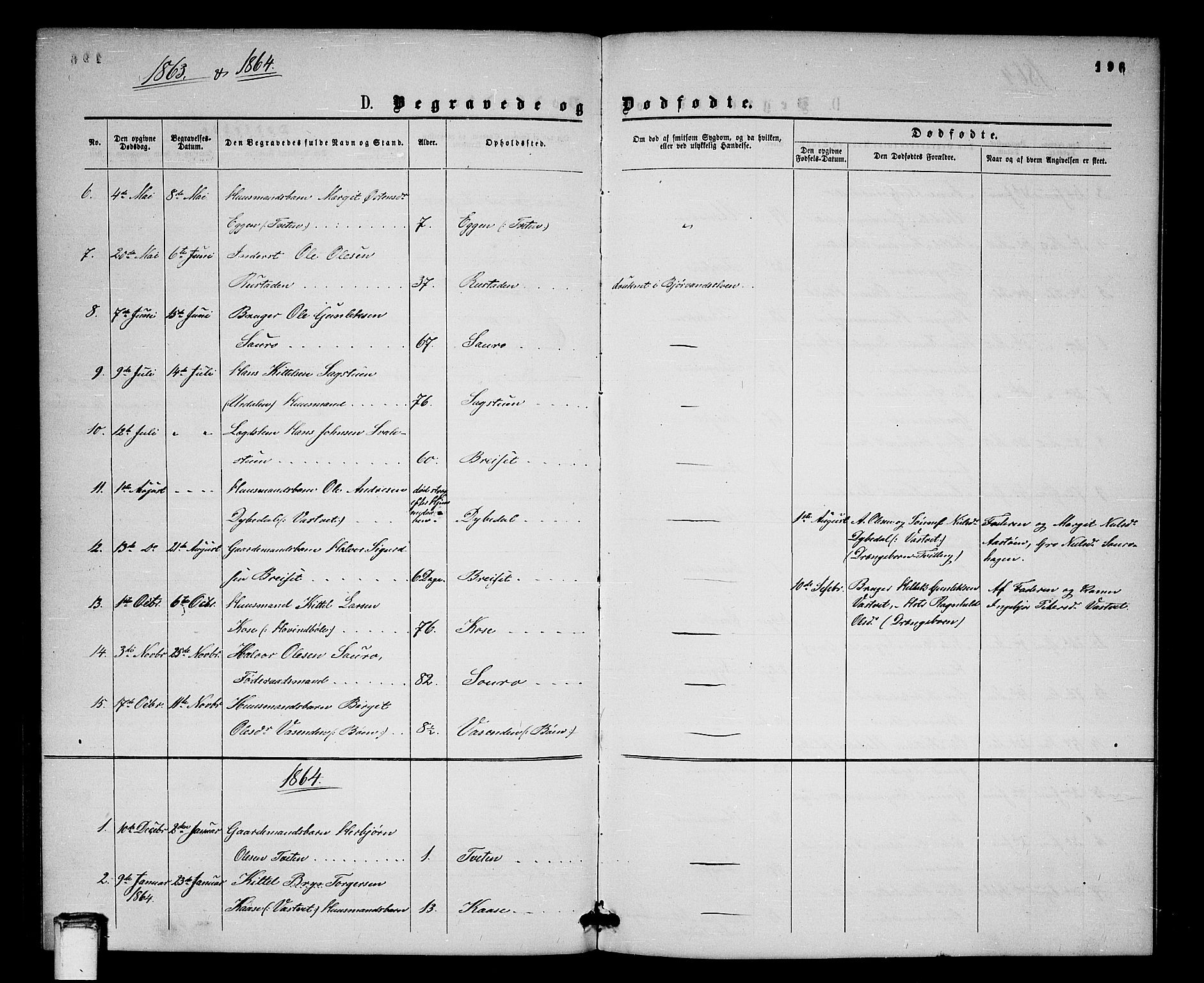 Gransherad kirkebøker, SAKO/A-267/G/Gb/L0002: Parish register (copy) no. II 2, 1860-1886, p. 196