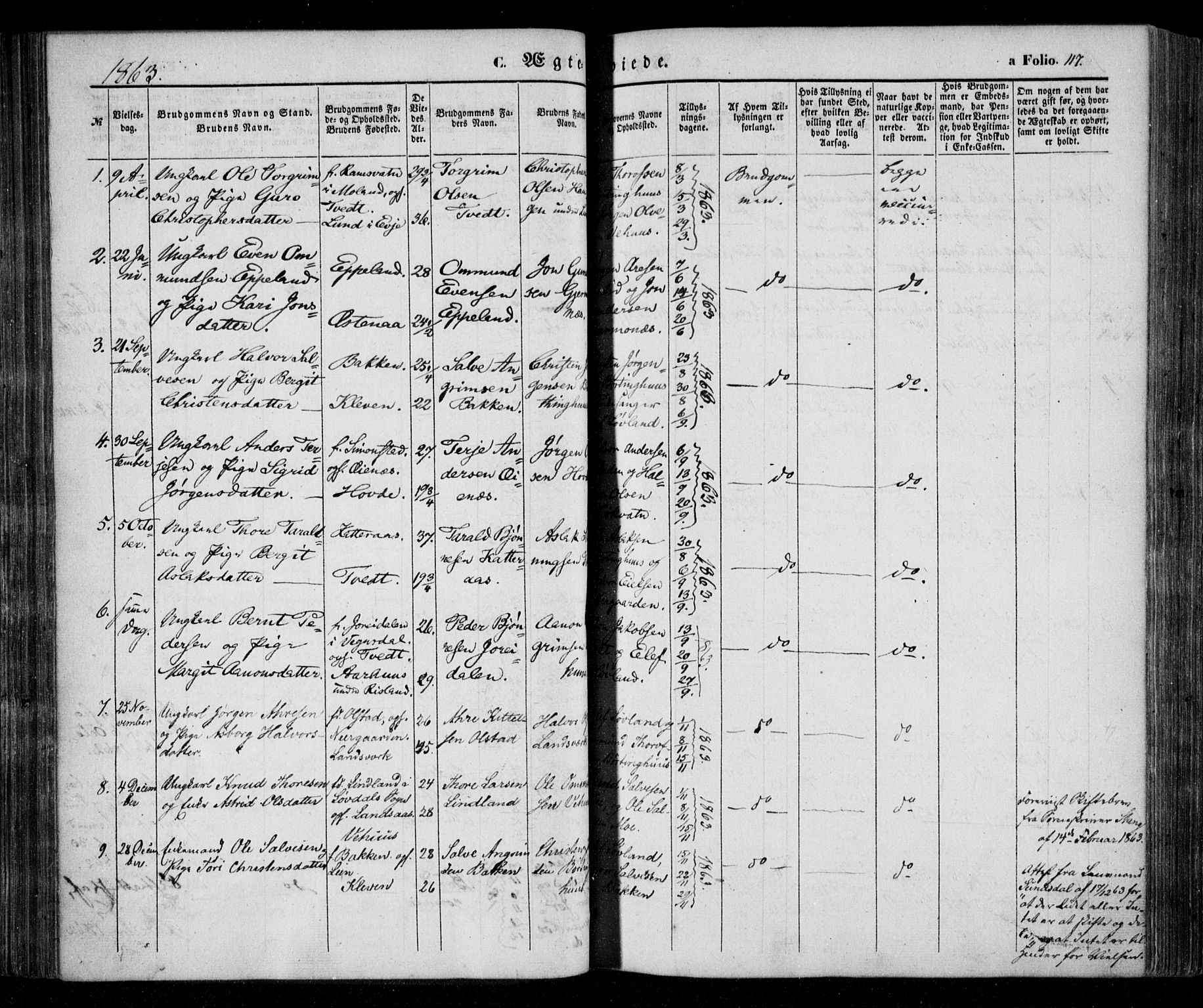 Åmli sokneprestkontor, AV/SAK-1111-0050/F/Fa/Fac/L0008: Parish register (official) no. A 8, 1852-1869, p. 117