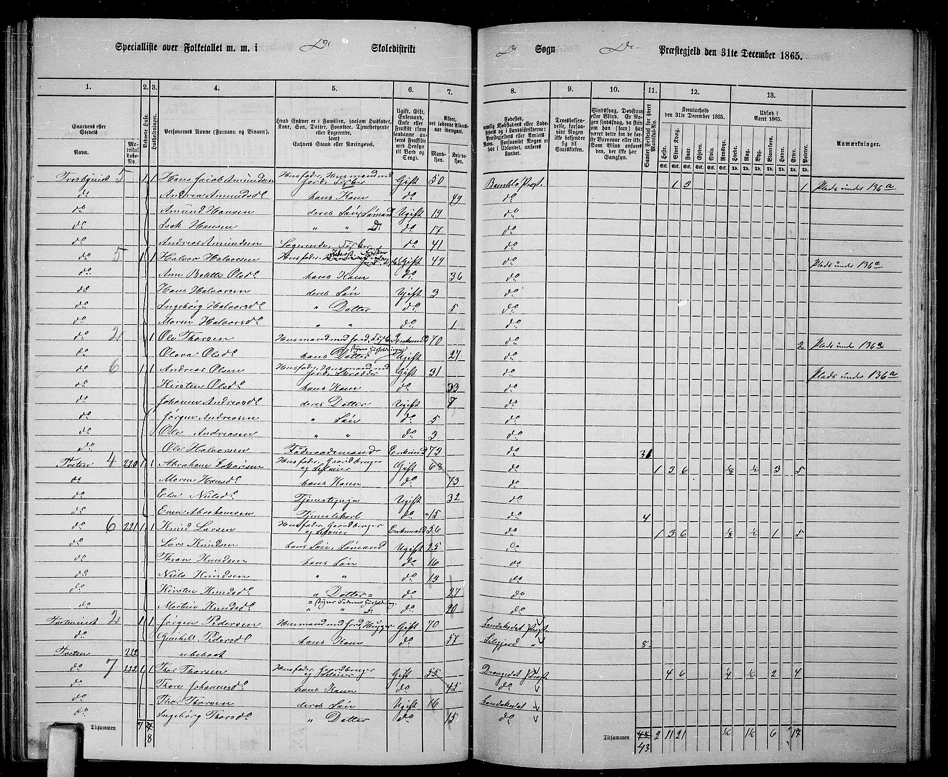 RA, 1865 census for Bamble, 1865, p. 123