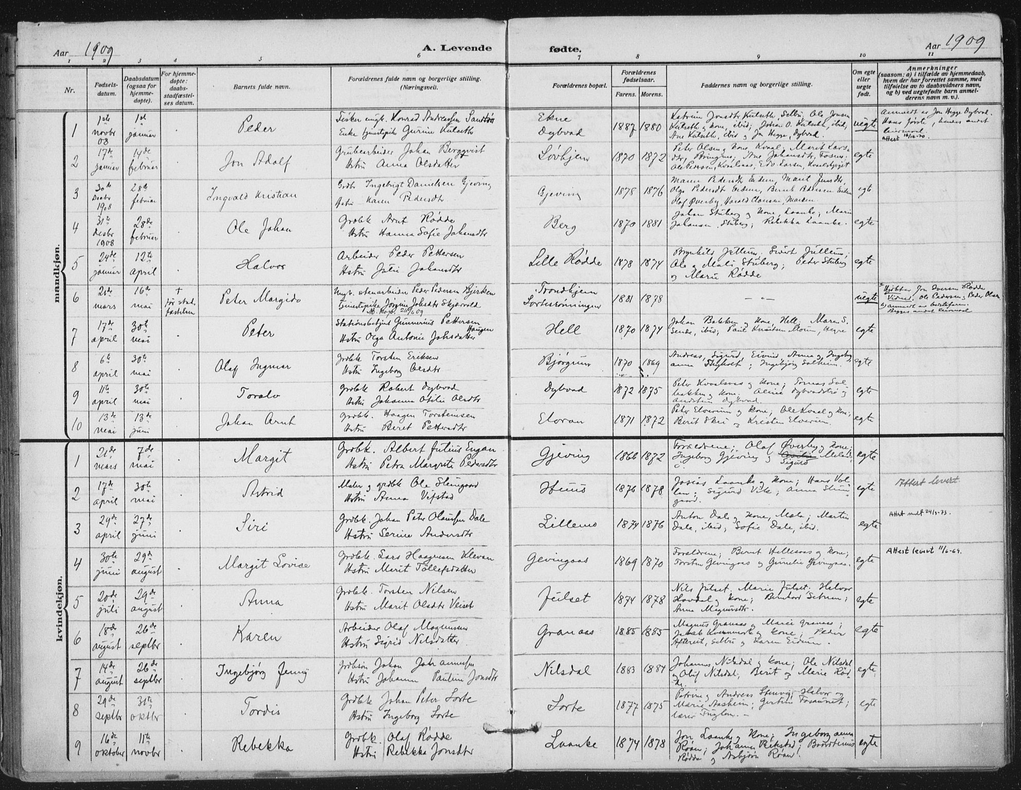 Ministerialprotokoller, klokkerbøker og fødselsregistre - Nord-Trøndelag, SAT/A-1458/710/L0095: Parish register (official) no. 710A01, 1880-1914