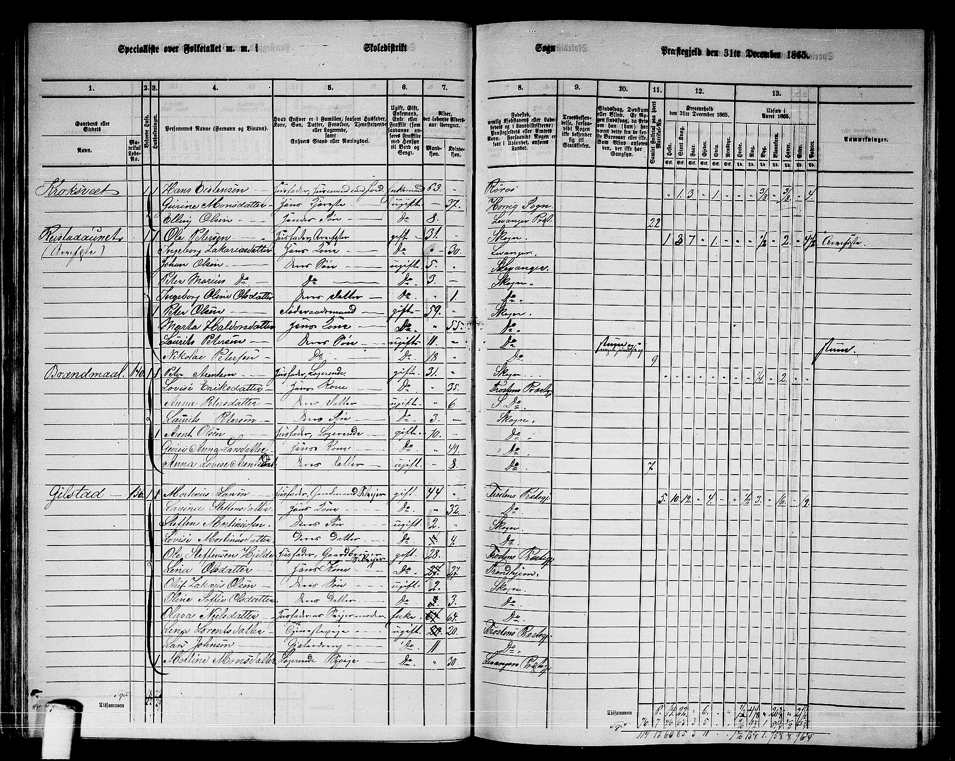 RA, 1865 census for Skogn, 1865, p. 53