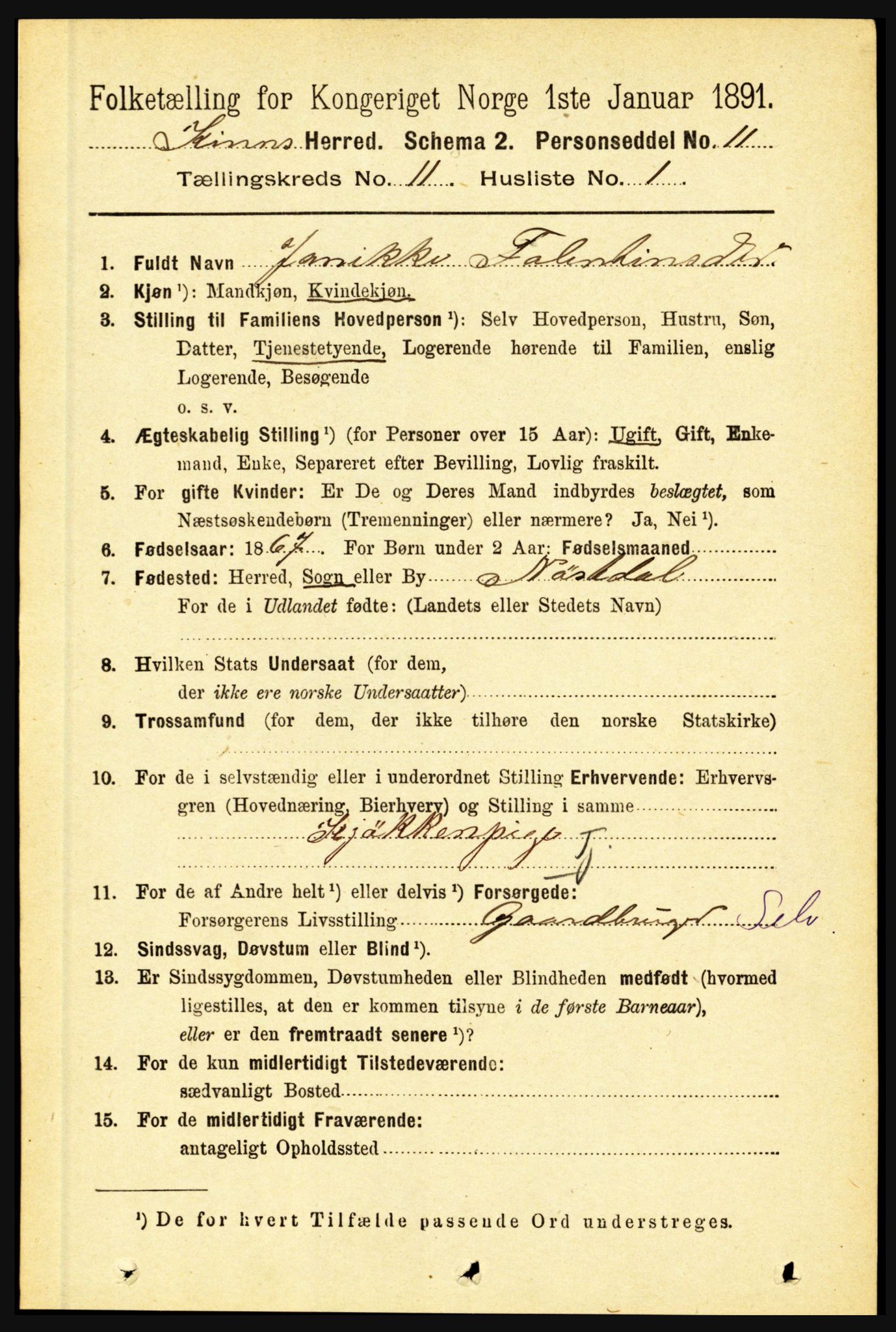 RA, 1891 census for 1437 Kinn, 1891, p. 4066
