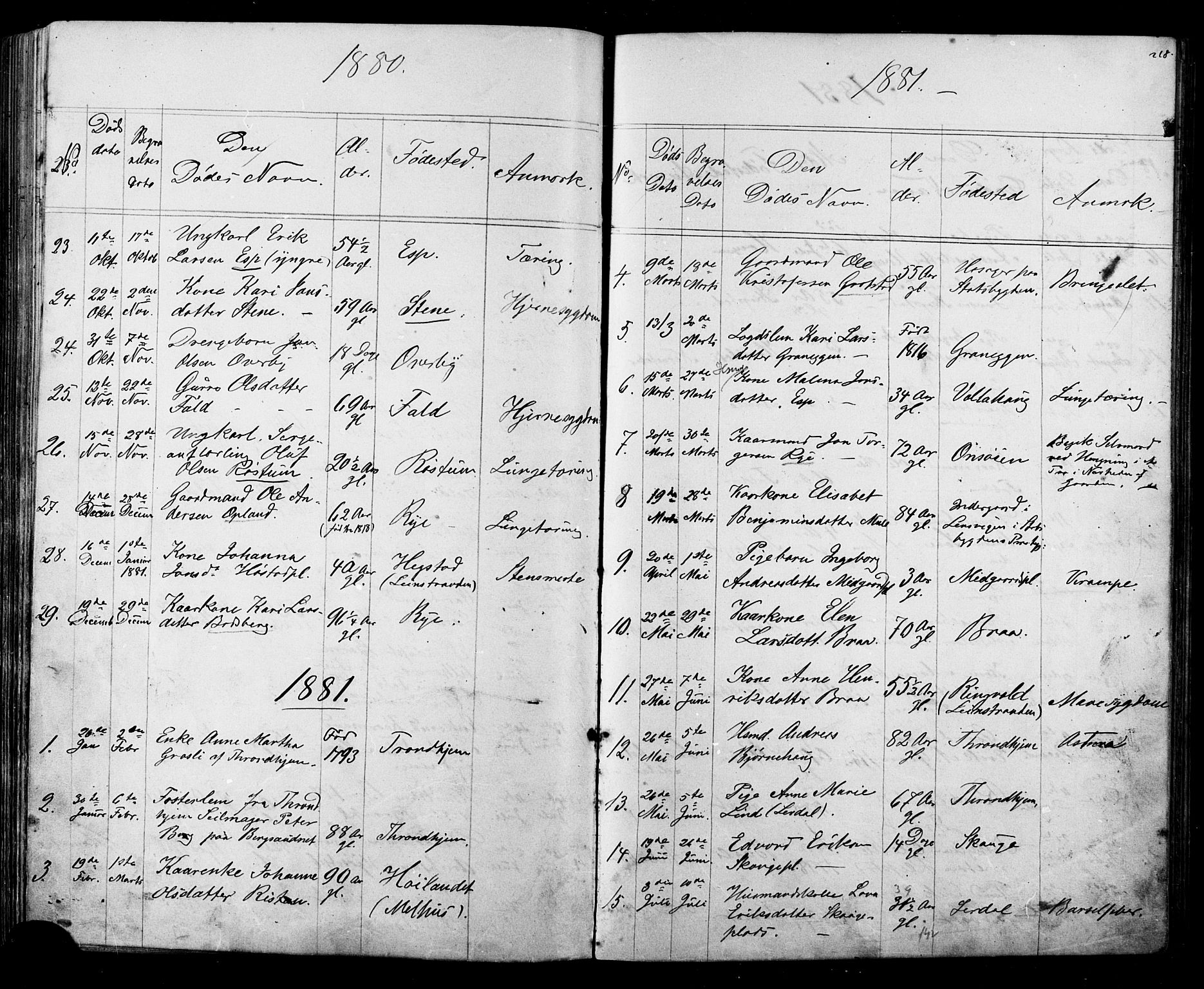 Ministerialprotokoller, klokkerbøker og fødselsregistre - Sør-Trøndelag, SAT/A-1456/612/L0387: Parish register (copy) no. 612C03, 1874-1908, p. 218