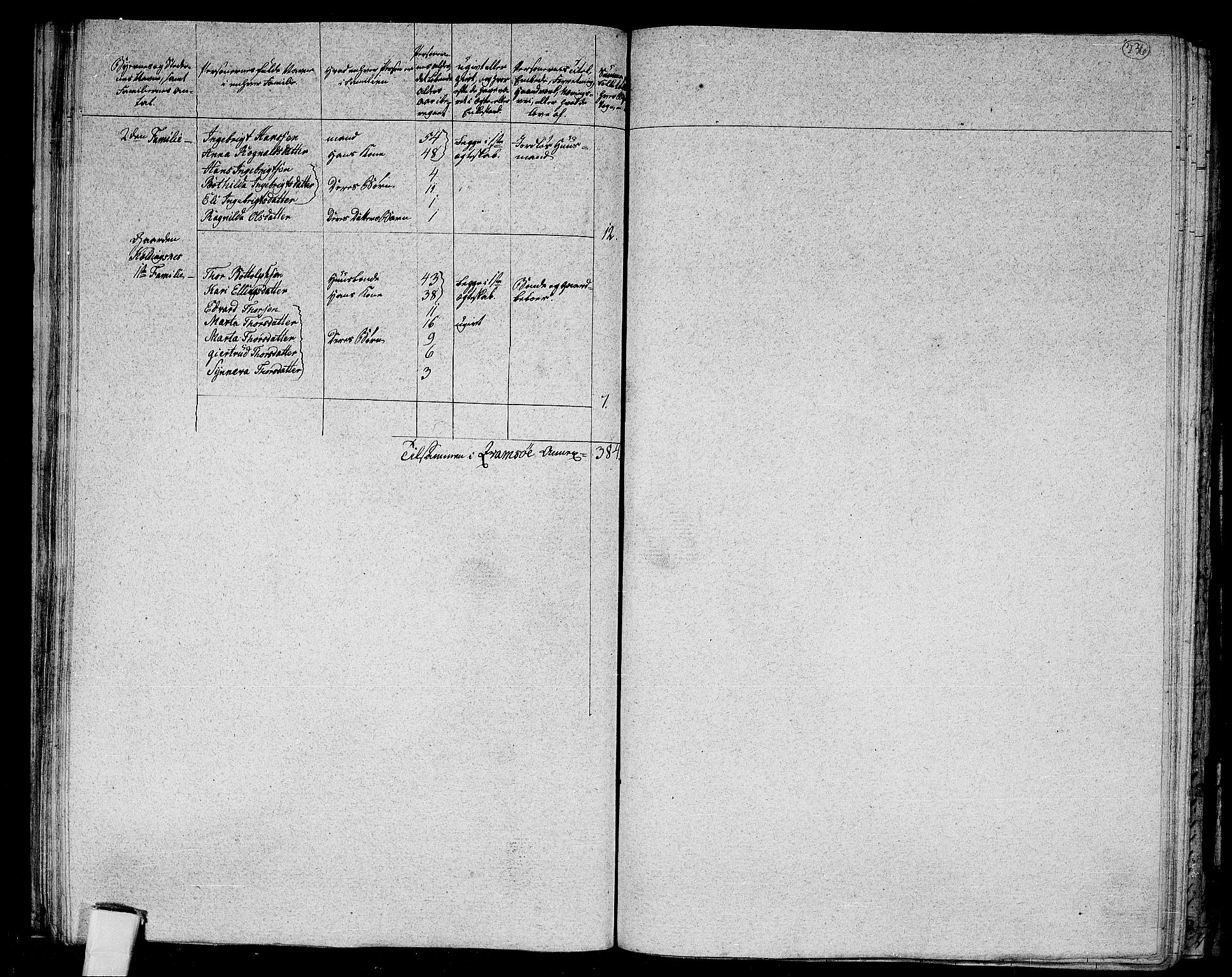 RA, 1801 census for 1417P Vik, 1801, p. 235b-236a