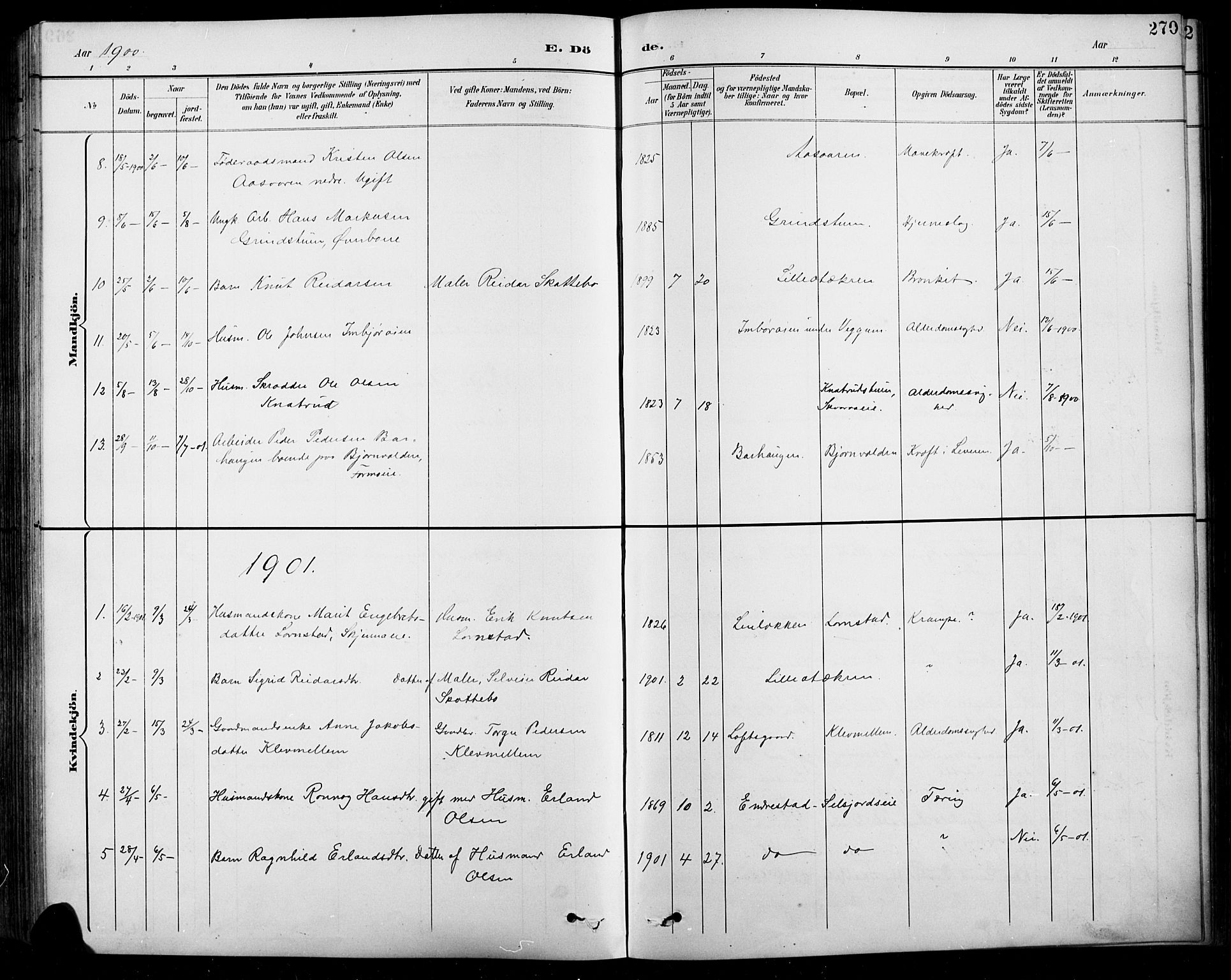 Sel prestekontor, AV/SAH-PREST-074/H/Ha/Hab/L0001: Parish register (copy) no. 1, 1894-1923, p. 270