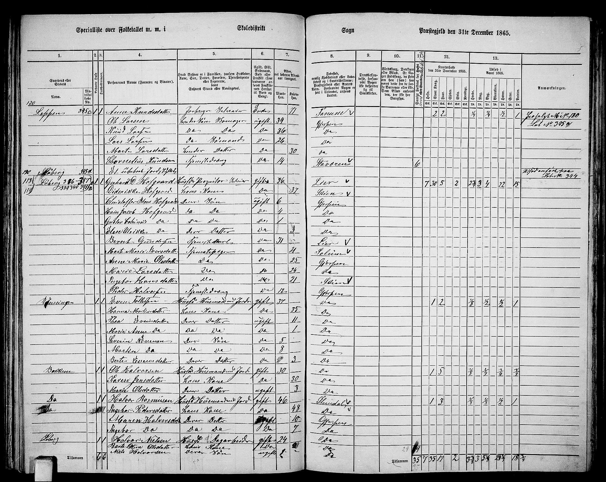 RA, 1865 census for Gjerpen, 1865, p. 185