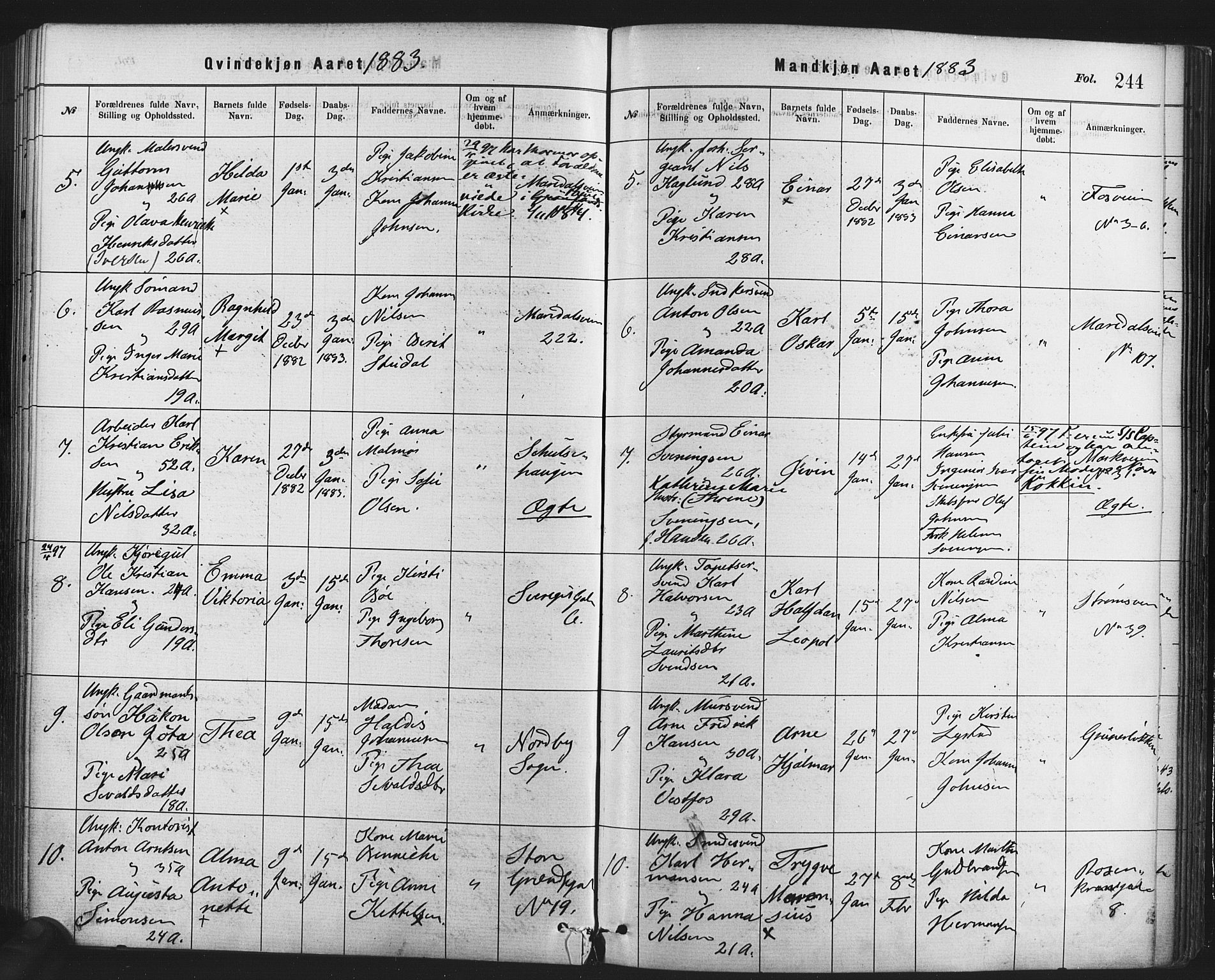 Rikshospitalet prestekontor Kirkebøker, SAO/A-10309b/F/L0006: Parish register (official) no. 6, 1871-1885, p. 244