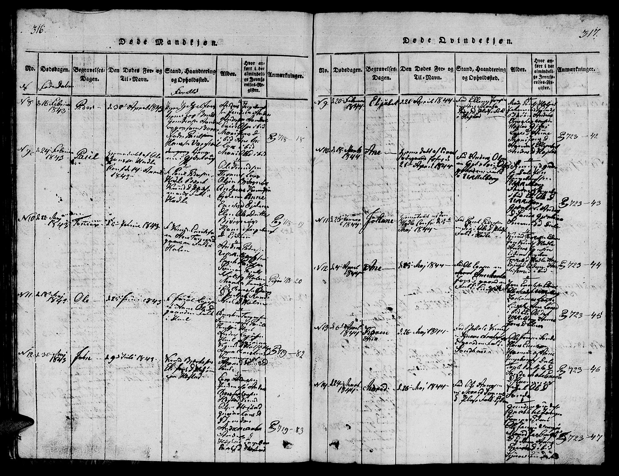 Ministerialprotokoller, klokkerbøker og fødselsregistre - Møre og Romsdal, AV/SAT-A-1454/565/L0752: Parish register (copy) no. 565C01, 1817-1844, p. 316-317