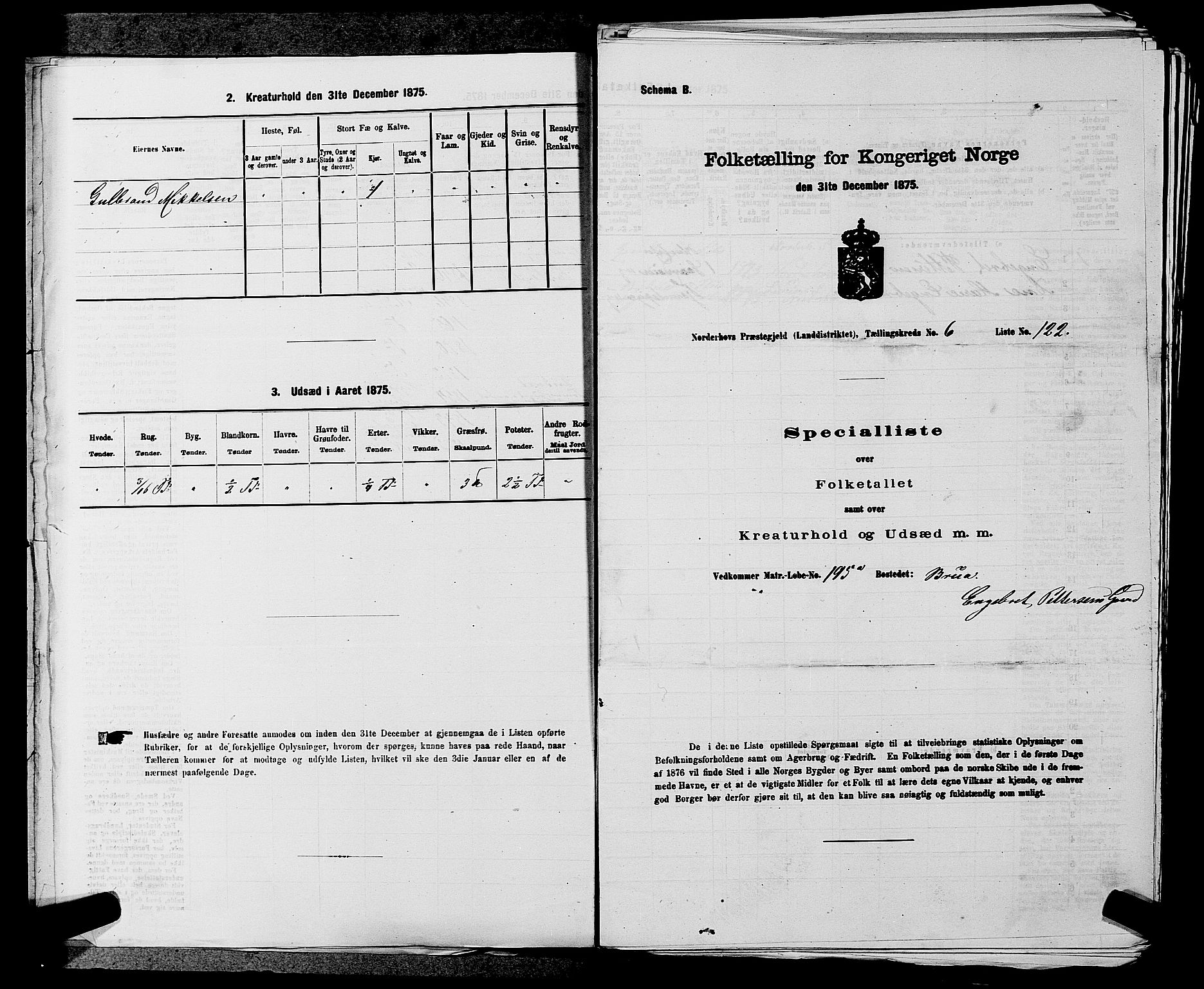 SAKO, 1875 census for 0613L Norderhov/Norderhov, Haug og Lunder, 1875, p. 973