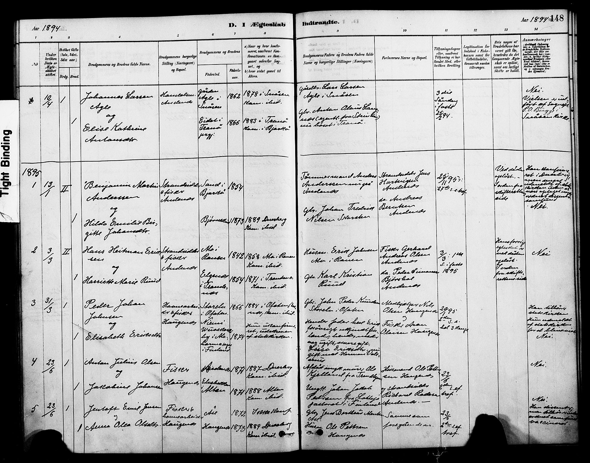 Ministerialprotokoller, klokkerbøker og fødselsregistre - Nordland, AV/SAT-A-1459/899/L1436: Parish register (official) no. 899A04, 1881-1896, p. 148