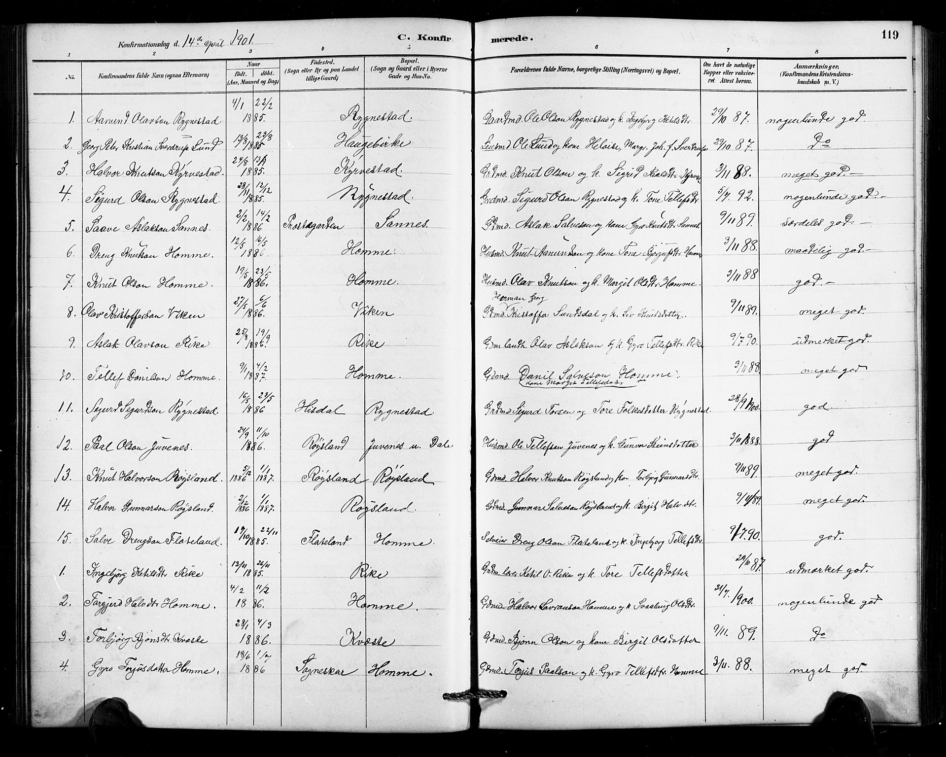 Valle sokneprestkontor, SAK/1111-0044/F/Fb/Fbc/L0004: Parish register (copy) no. B 4, 1890-1928, p. 119