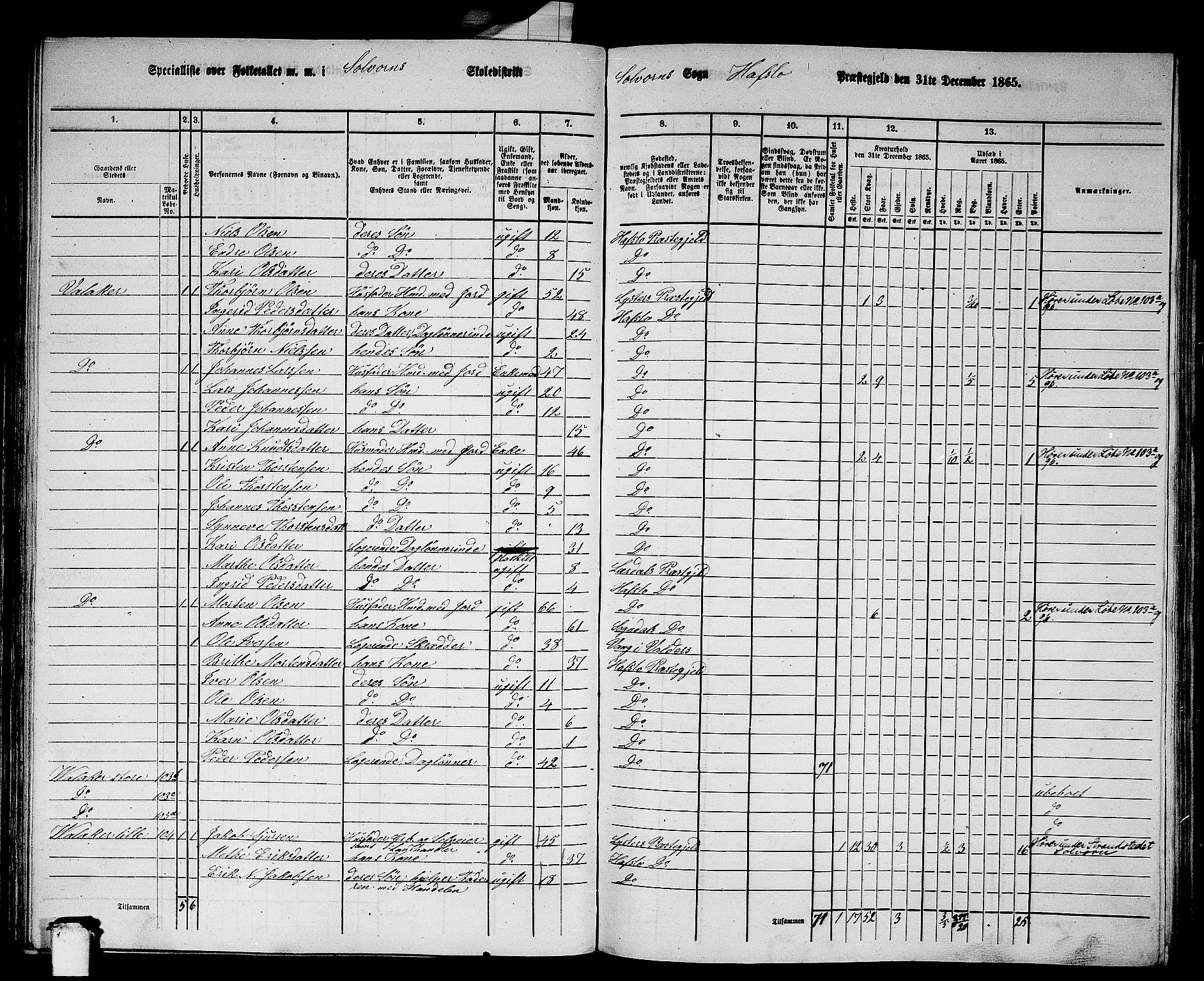 RA, 1865 census for Hafslo, 1865, p. 72