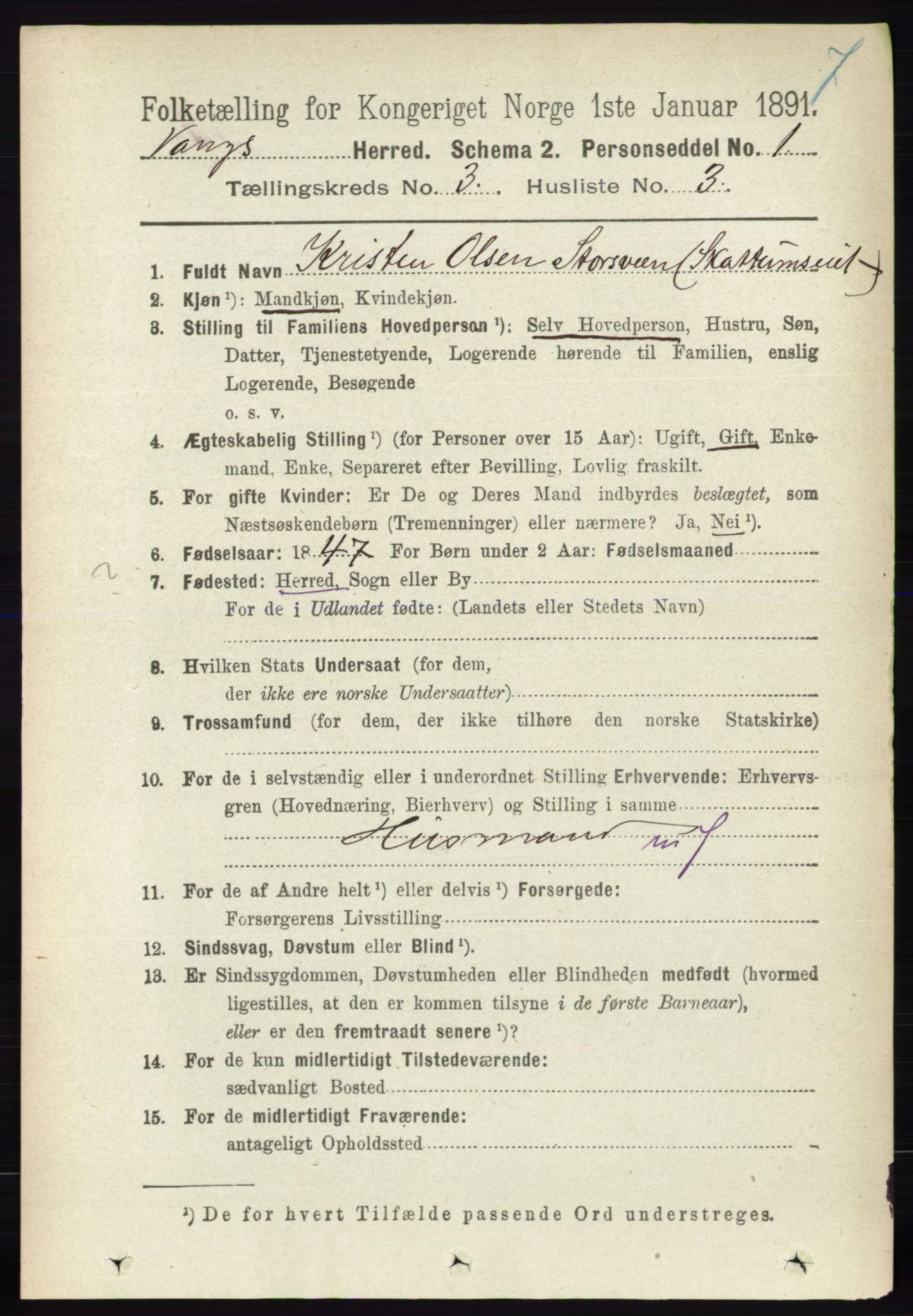 RA, 1891 census for 0414 Vang, 1891, p. 1900