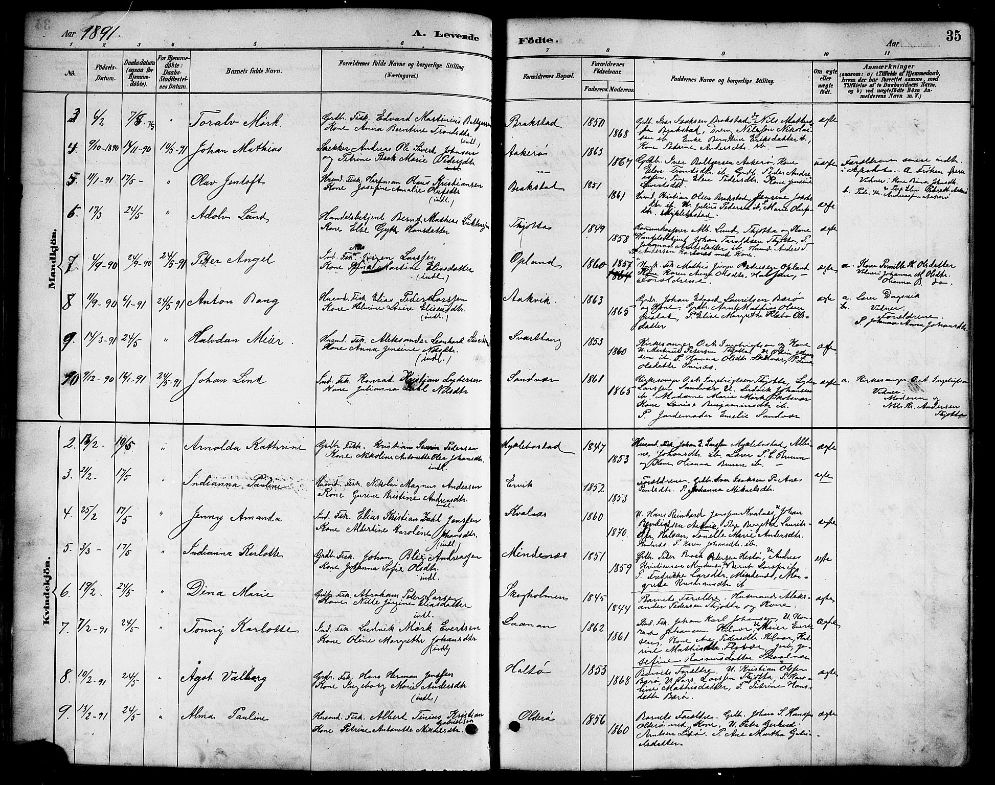 Ministerialprotokoller, klokkerbøker og fødselsregistre - Nordland, AV/SAT-A-1459/817/L0268: Parish register (copy) no. 817C03, 1884-1920, p. 35