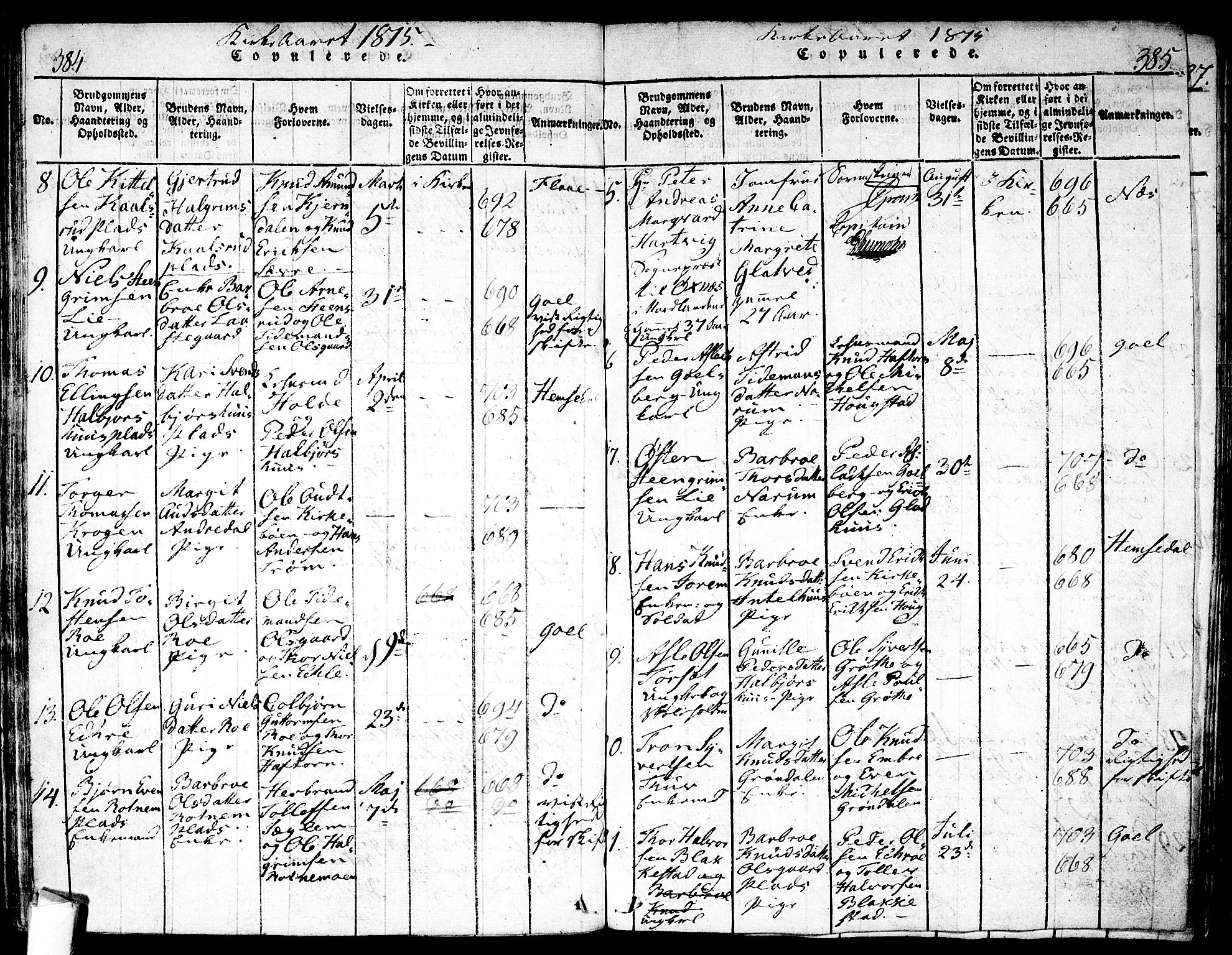 Nes kirkebøker, AV/SAKO-A-236/F/Fa/L0007: Parish register (official) no. 7, 1815-1823, p. 384-385