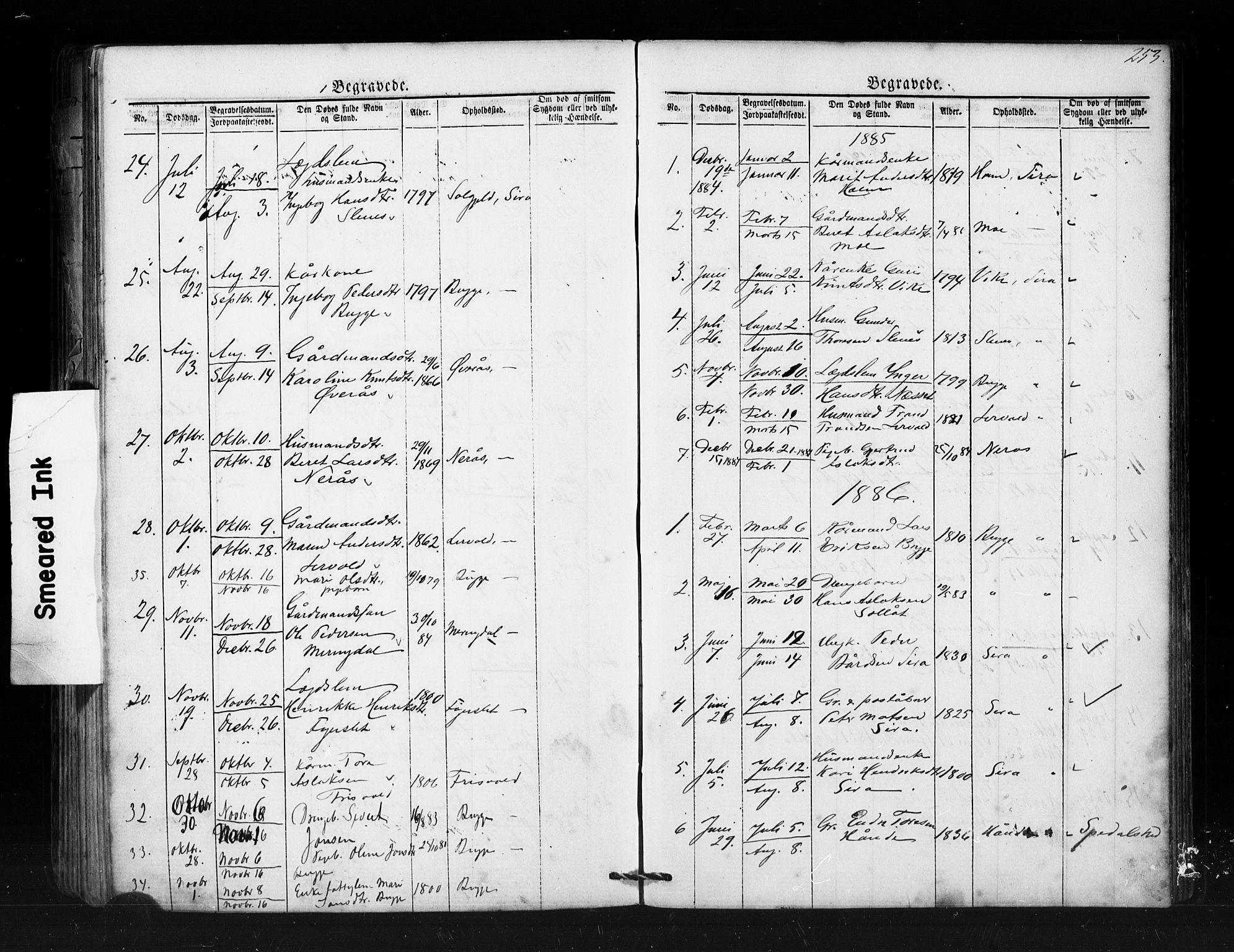 Ministerialprotokoller, klokkerbøker og fødselsregistre - Møre og Romsdal, SAT/A-1454/552/L0638: Parish register (copy) no. 552C01, 1867-1902, p. 253