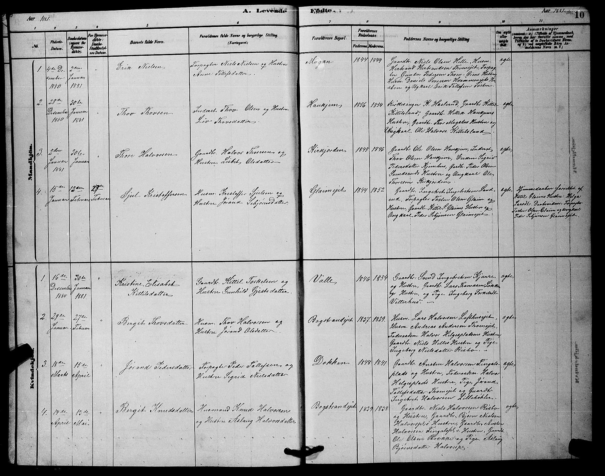 Rollag kirkebøker, SAKO/A-240/G/Gb/L0002: Parish register (copy) no. II 2, 1878-1898, p. 10