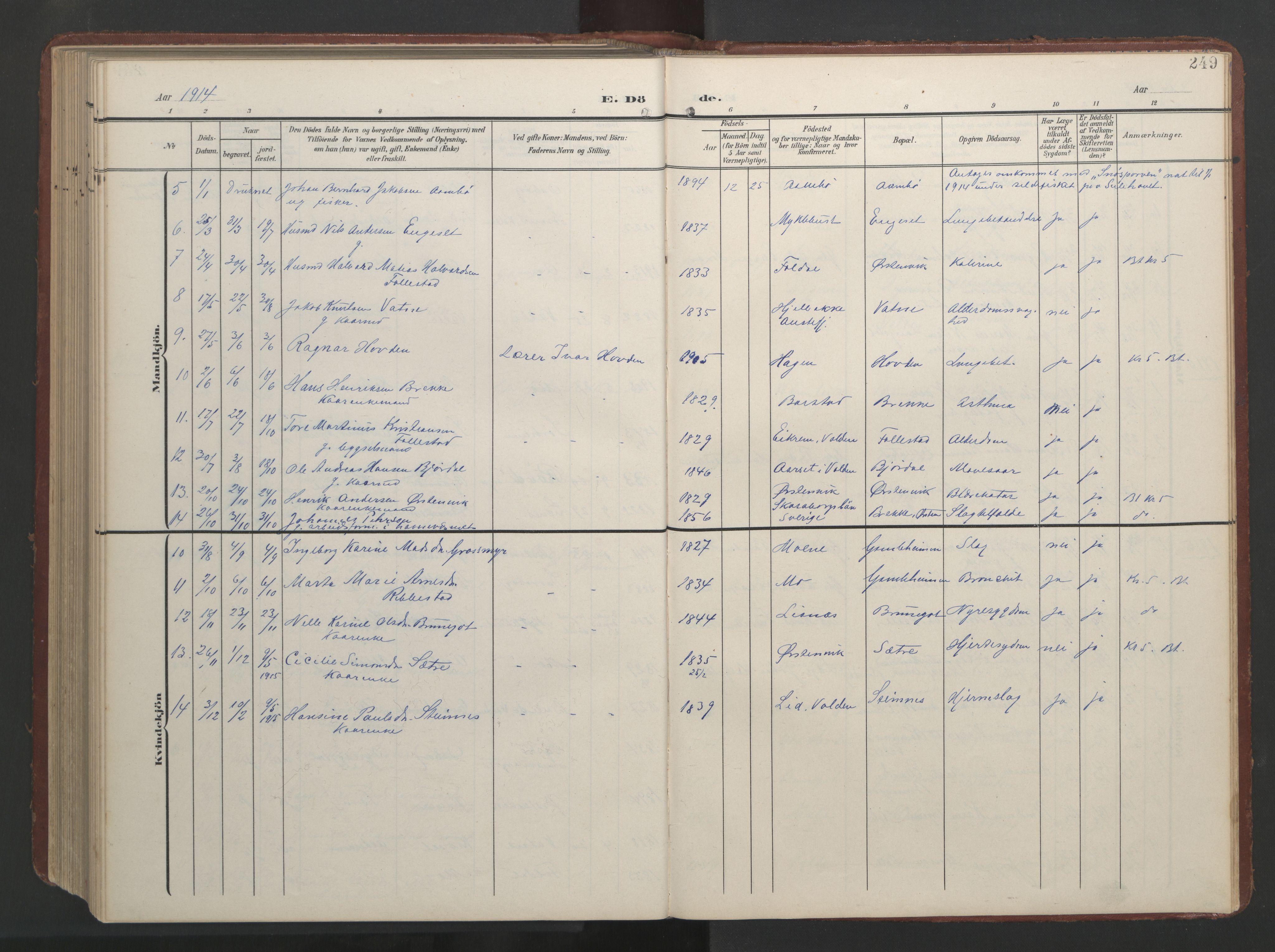 Ministerialprotokoller, klokkerbøker og fødselsregistre - Møre og Romsdal, AV/SAT-A-1454/513/L0190: Parish register (copy) no. 513C04, 1904-1926, p. 249