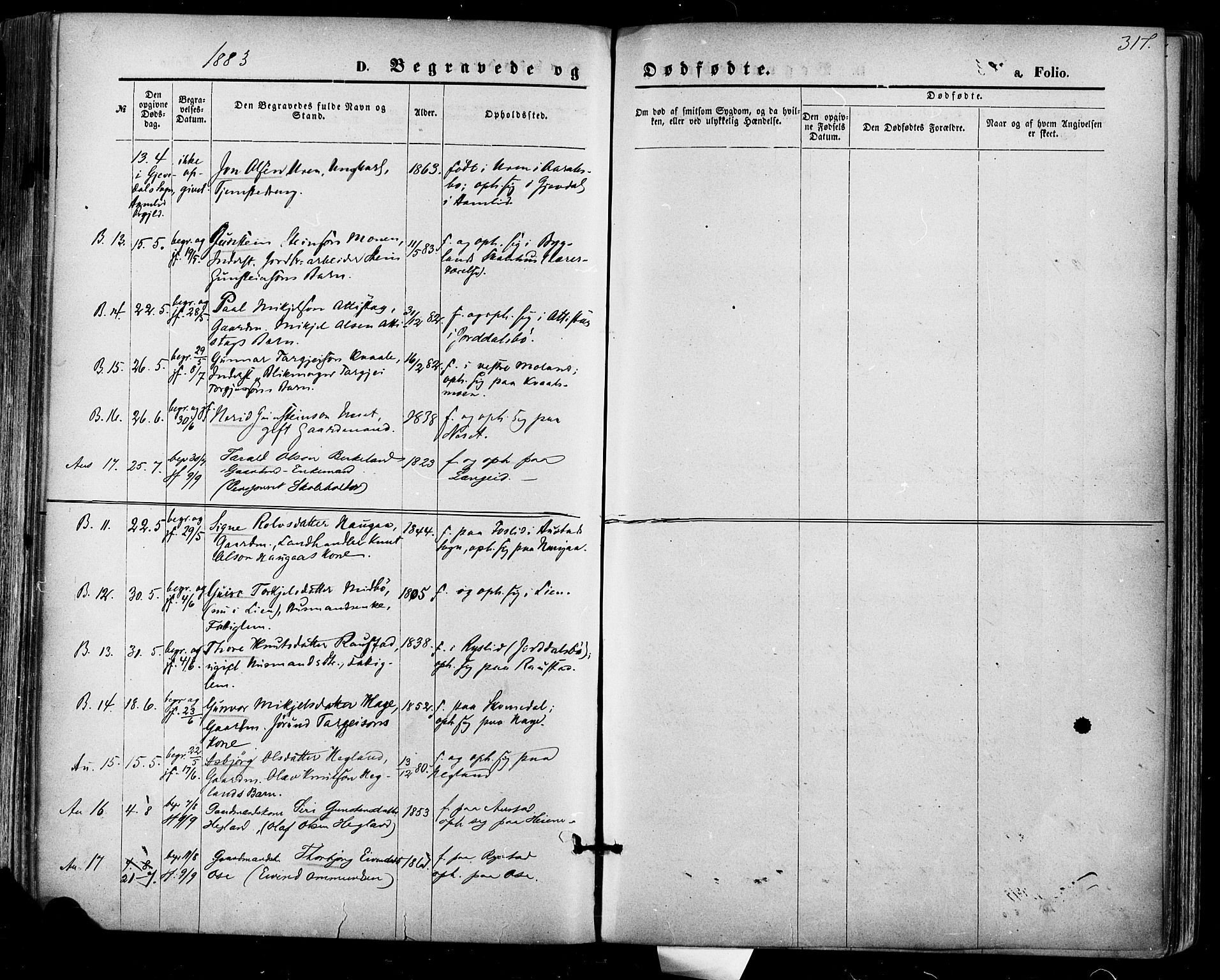 Bygland sokneprestkontor, AV/SAK-1111-0006/F/Fa/Fab/L0006: Parish register (official) no. A 6, 1873-1884, p. 317