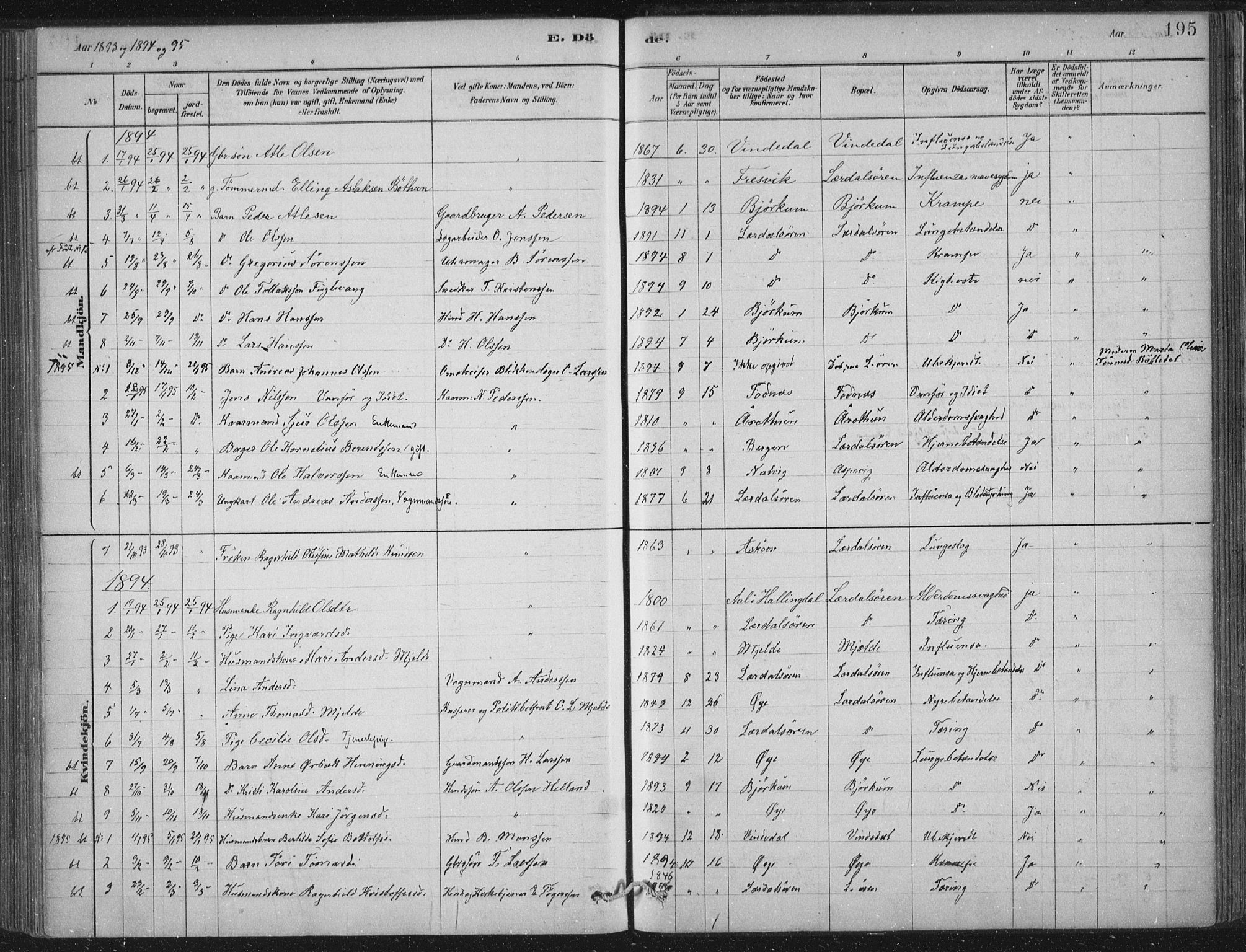 Lærdal sokneprestembete, SAB/A-81201: Parish register (official) no. D  1, 1878-1908, p. 195