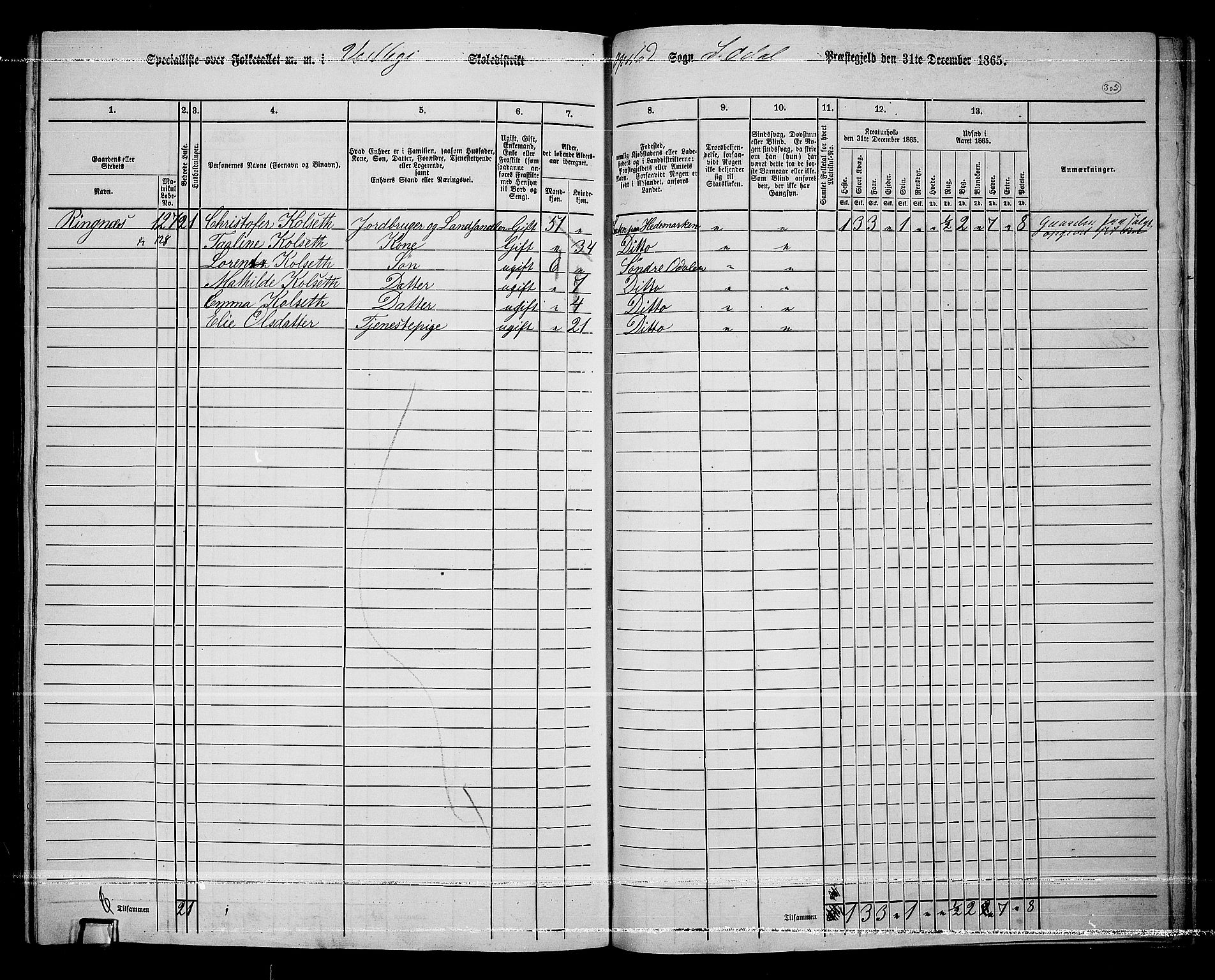 RA, 1865 census for Sør-Odal, 1865, p. 269