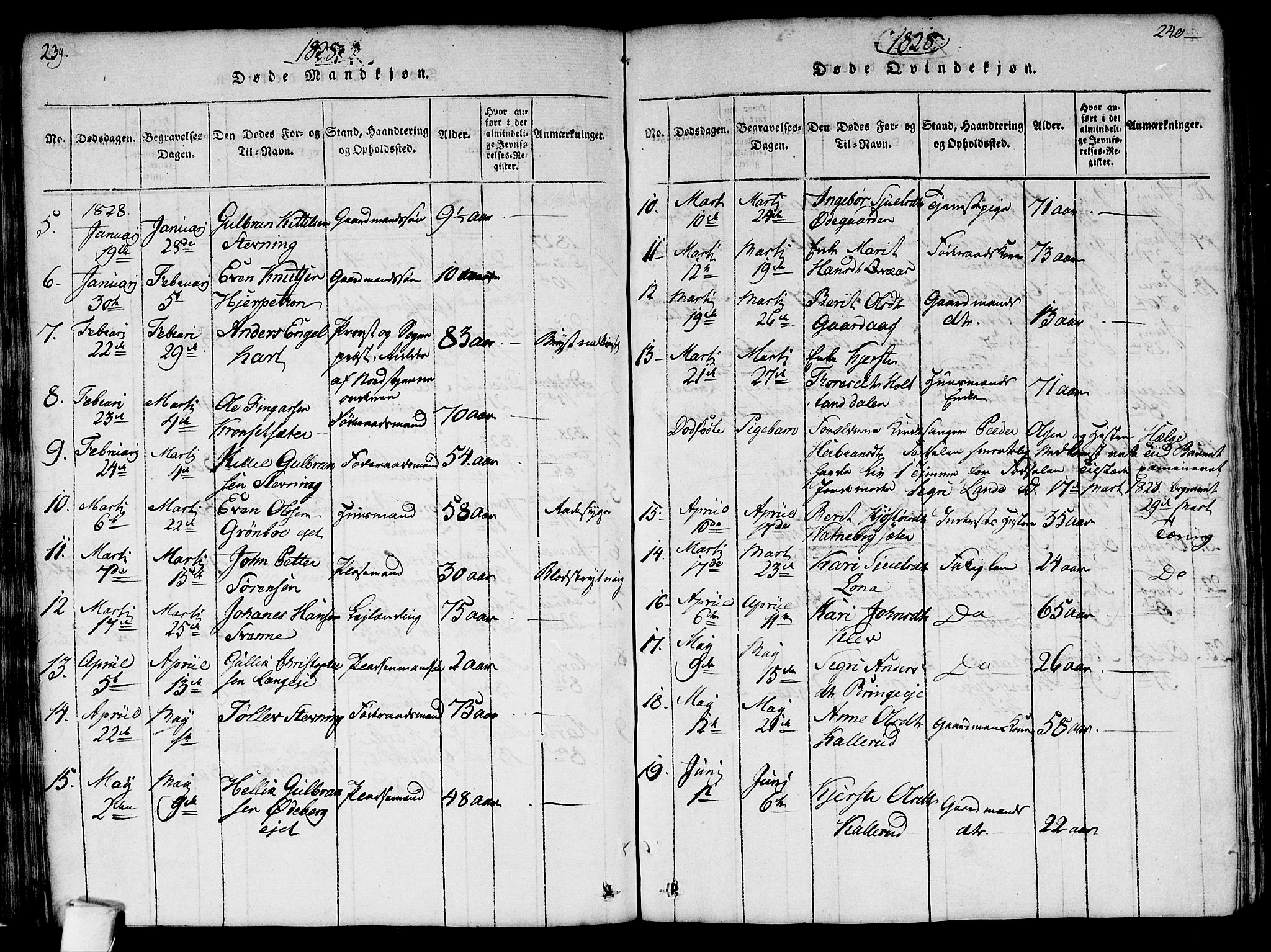 Flesberg kirkebøker, SAKO/A-18/G/Ga/L0001: Parish register (copy) no. I 1, 1816-1834, p. 239-240